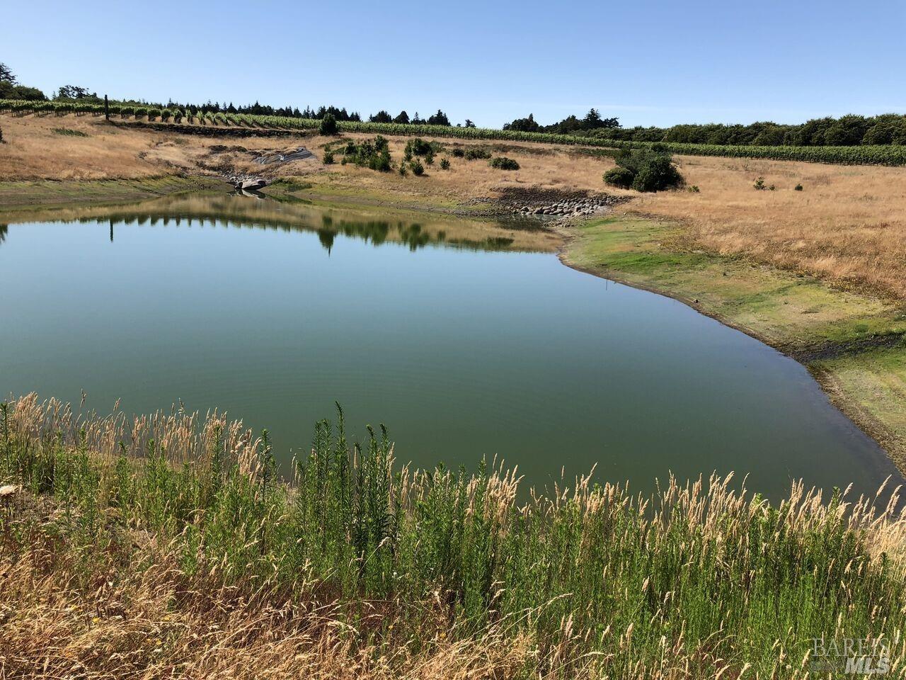 Detail Gallery Image 8 of 40 For 39000 Crispin Rd, Manchester,  CA 95459 - – Beds | – Baths