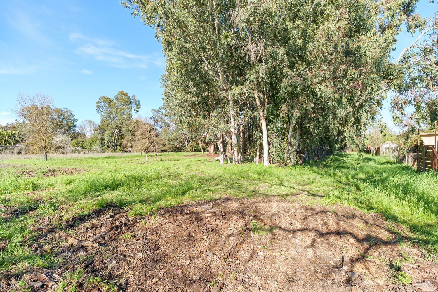 Detail Gallery Image 29 of 39 For 19360 Linden St, Sonoma,  CA 95476 - 3 Beds | 2 Baths