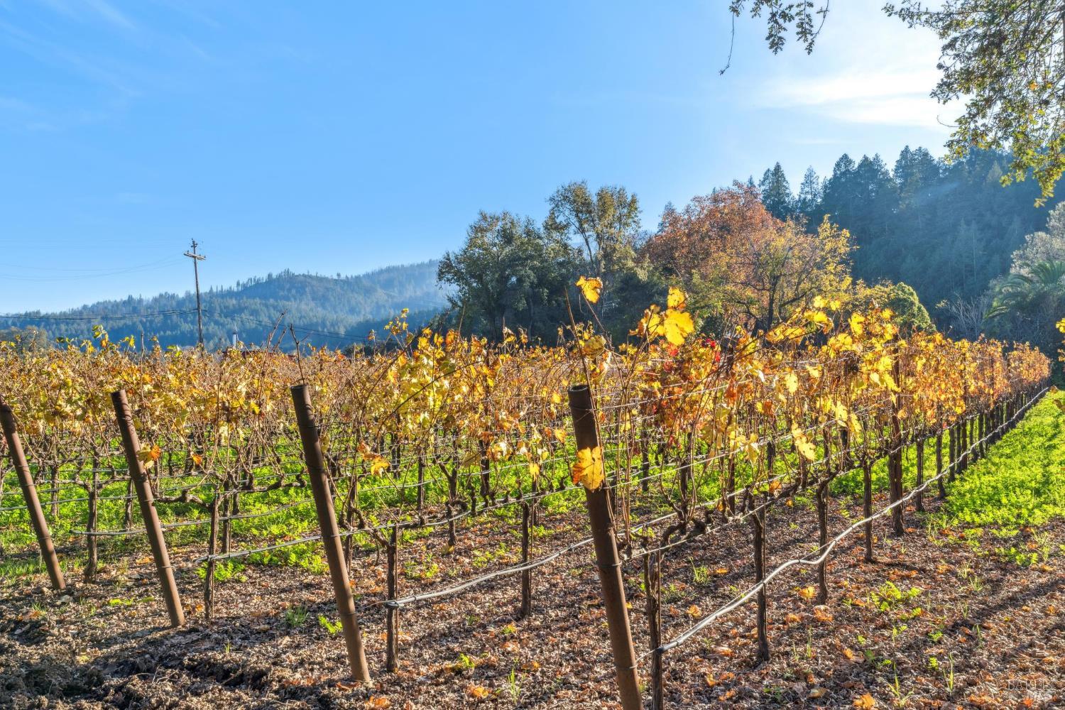 Detail Gallery Image 50 of 58 For 2 Foothill Blvd, Calistoga,  CA 94515 - 2 Beds | 2 Baths