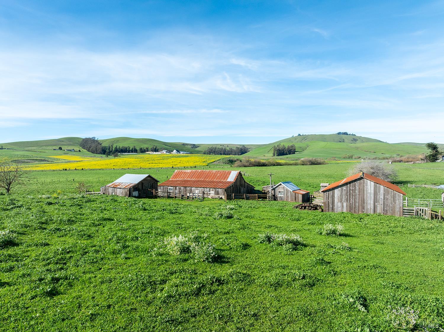 Detail Gallery Image 4 of 45 For 14550 Valley Ford Estero Rd, Valley Ford,  CA 94972 - 4 Beds | 1 Baths