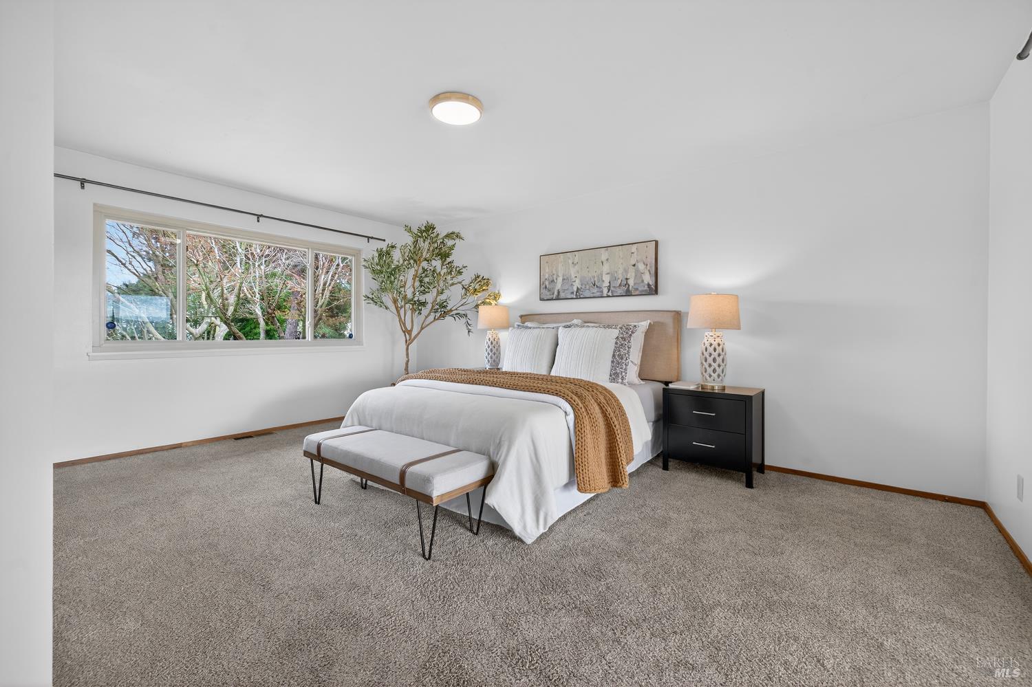 Detail Gallery Image 37 of 70 For 101 Mcbrown Rd, Petaluma,  CA 94952 - 4 Beds | 2/1 Baths