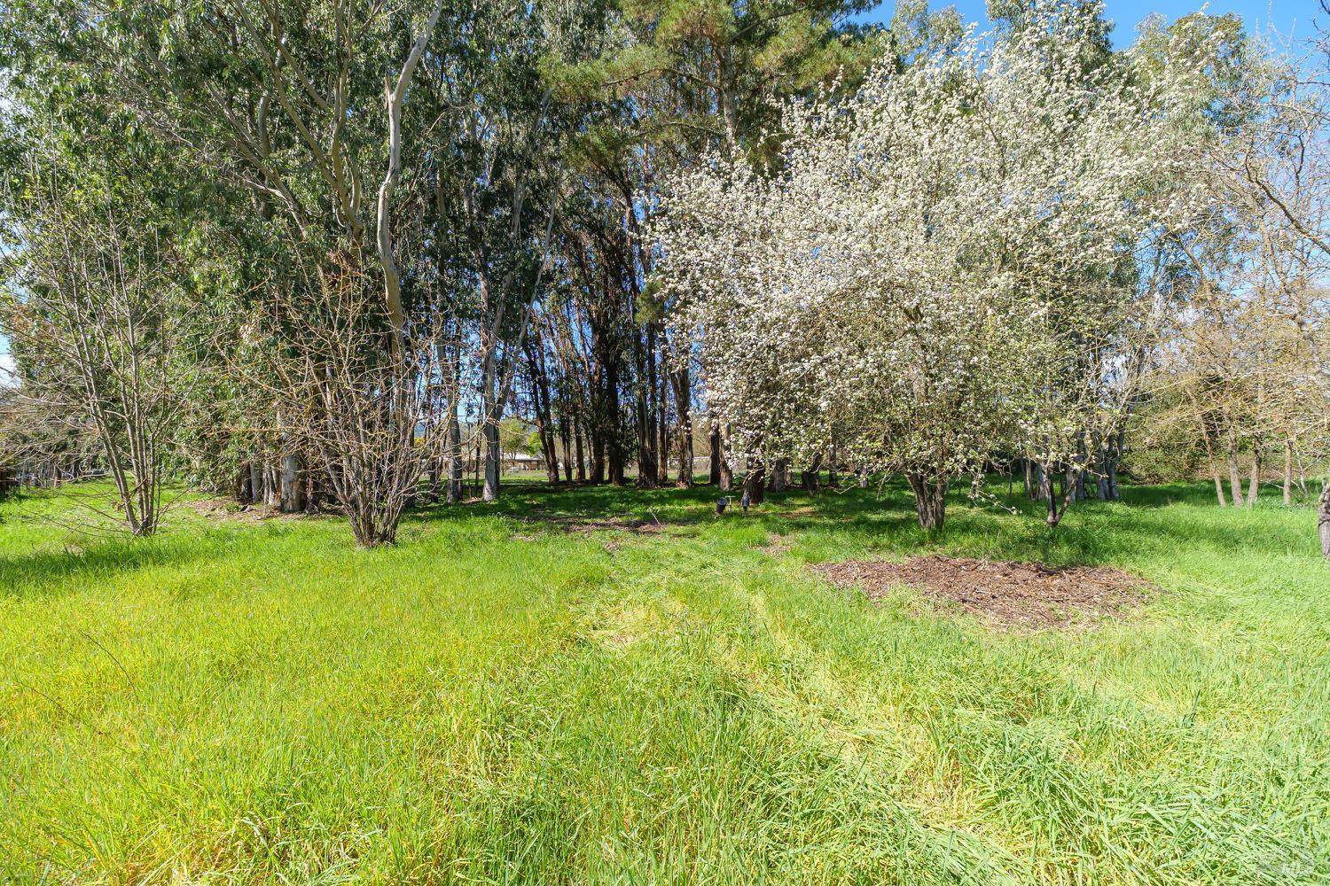 Detail Gallery Image 31 of 39 For 19360 Linden St, Sonoma,  CA 95476 - 3 Beds | 2 Baths