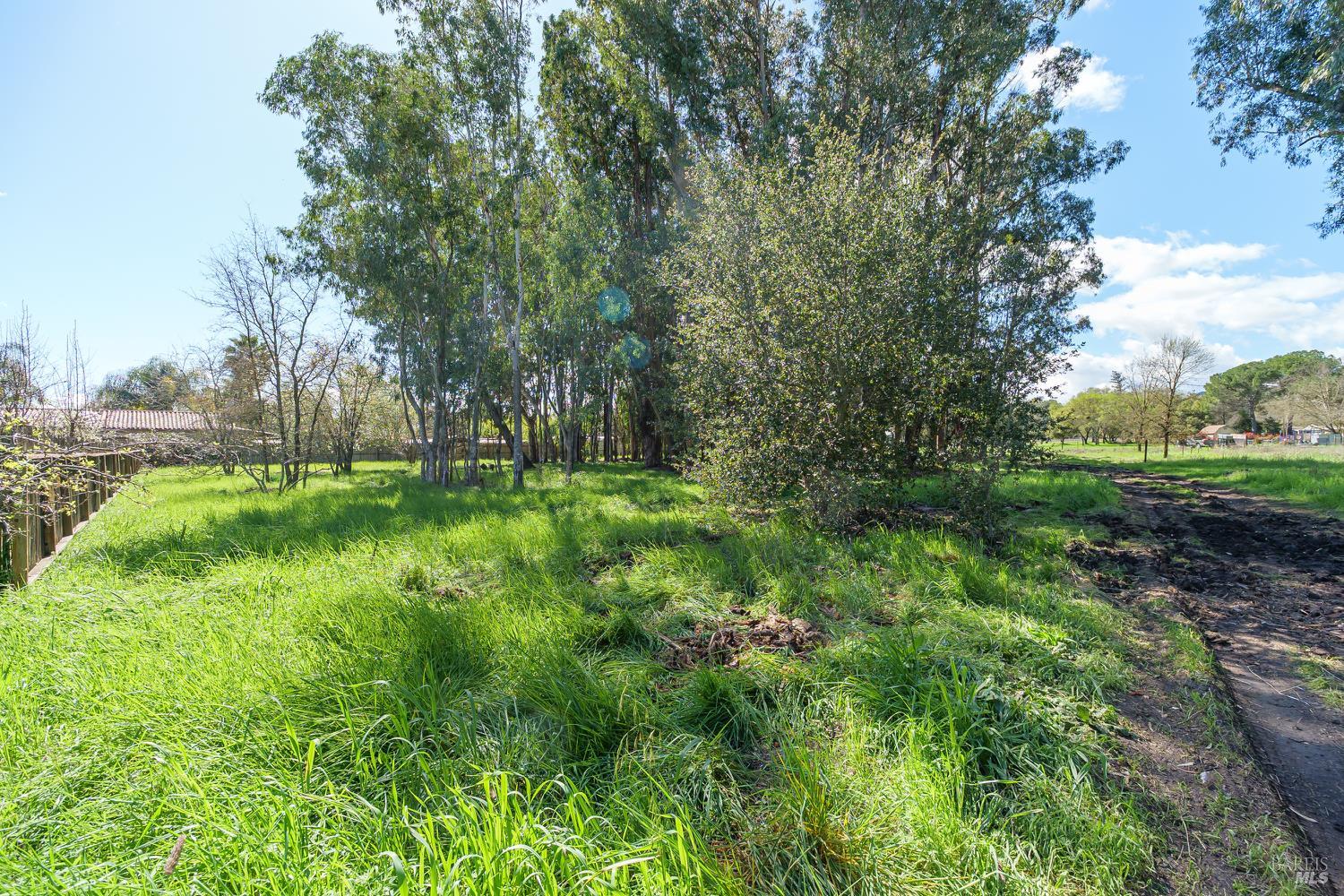 Detail Gallery Image 32 of 39 For 19360 Linden St, Sonoma,  CA 95476 - 3 Beds | 2 Baths