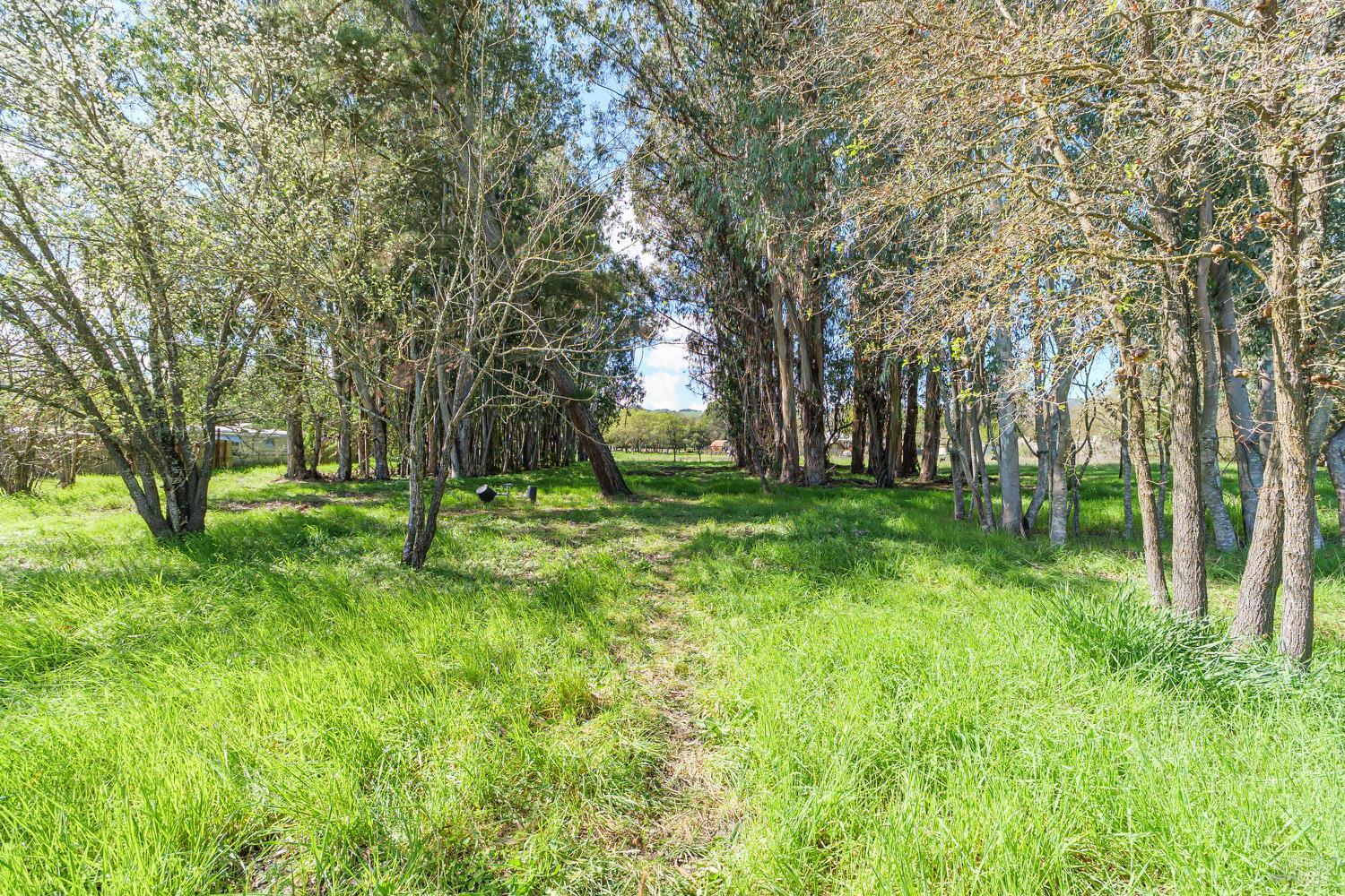Detail Gallery Image 28 of 39 For 19360 Linden St, Sonoma,  CA 95476 - 3 Beds | 2 Baths