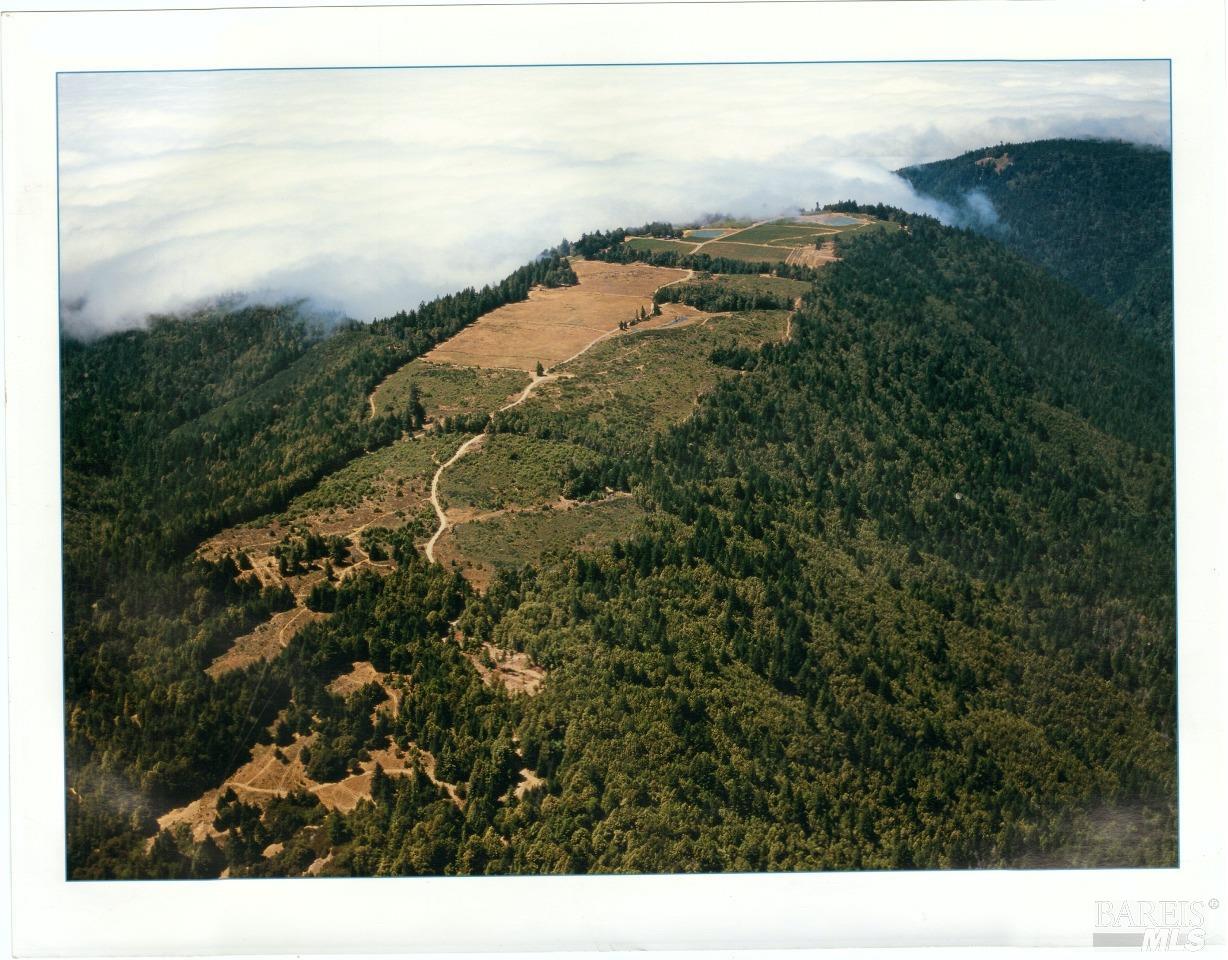 Detail Gallery Image 31 of 40 For 39000 Crispin Rd, Manchester,  CA 95459 - – Beds | – Baths