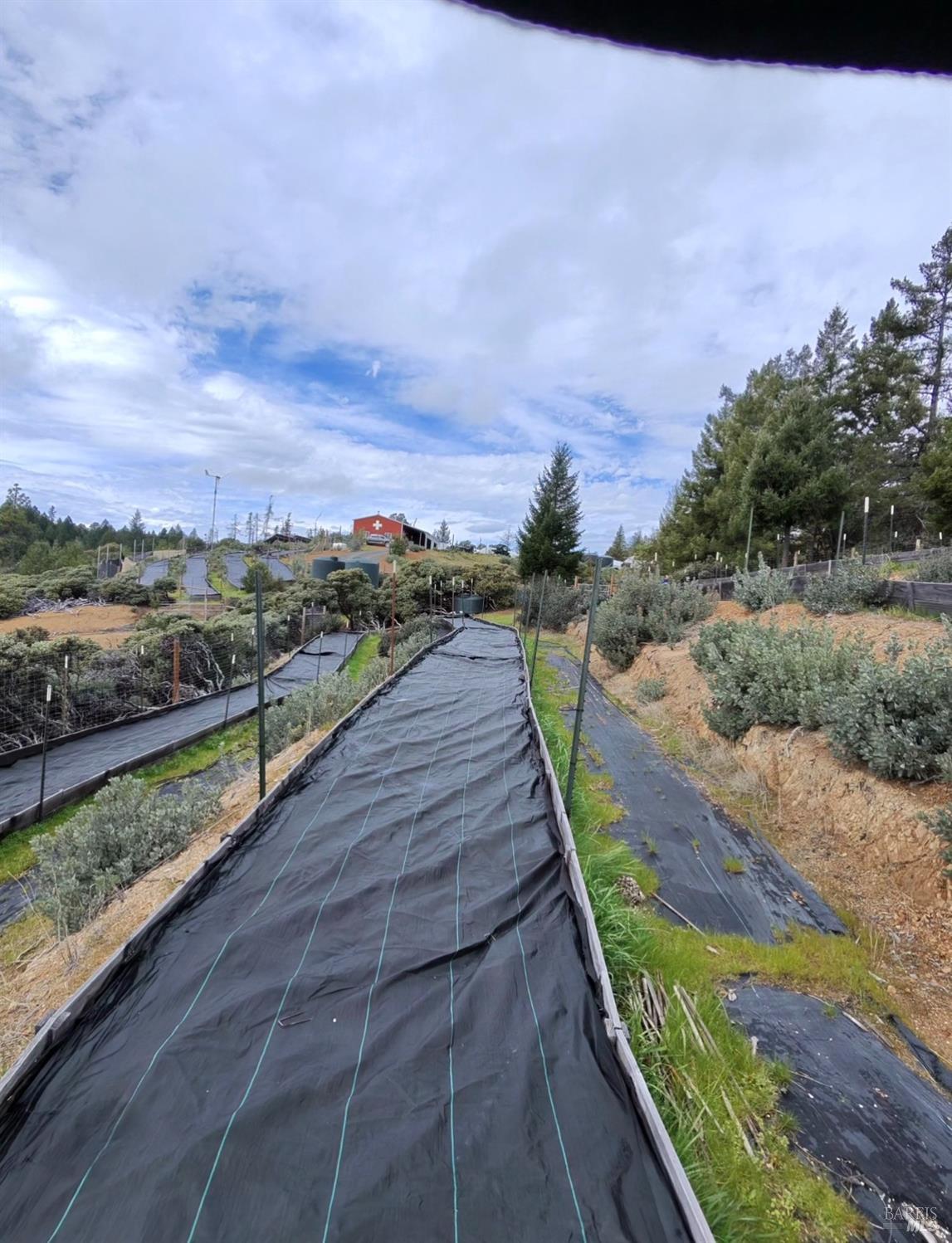 Detail Gallery Image 22 of 28 For 19450 Tomki Rd, Redwood Valley,  CA 95470 - – Beds | – Baths