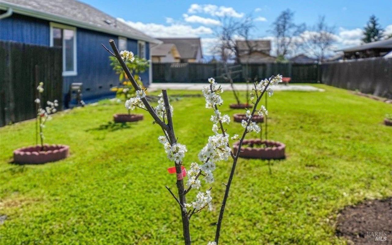 Detail Gallery Image 27 of 36 For 3483 Beach St, Nice,  CA 95464 - 3 Beds | 2 Baths