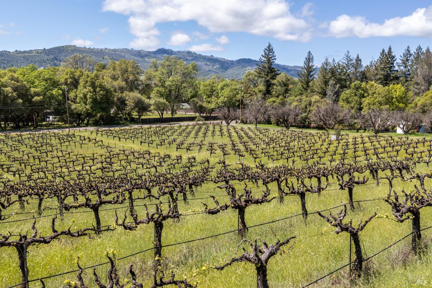 Detail Gallery Image 24 of 27 For 3200 Road J Unkn, Redwood Valley,  CA 95470 - 4 Beds | 3/1 Baths