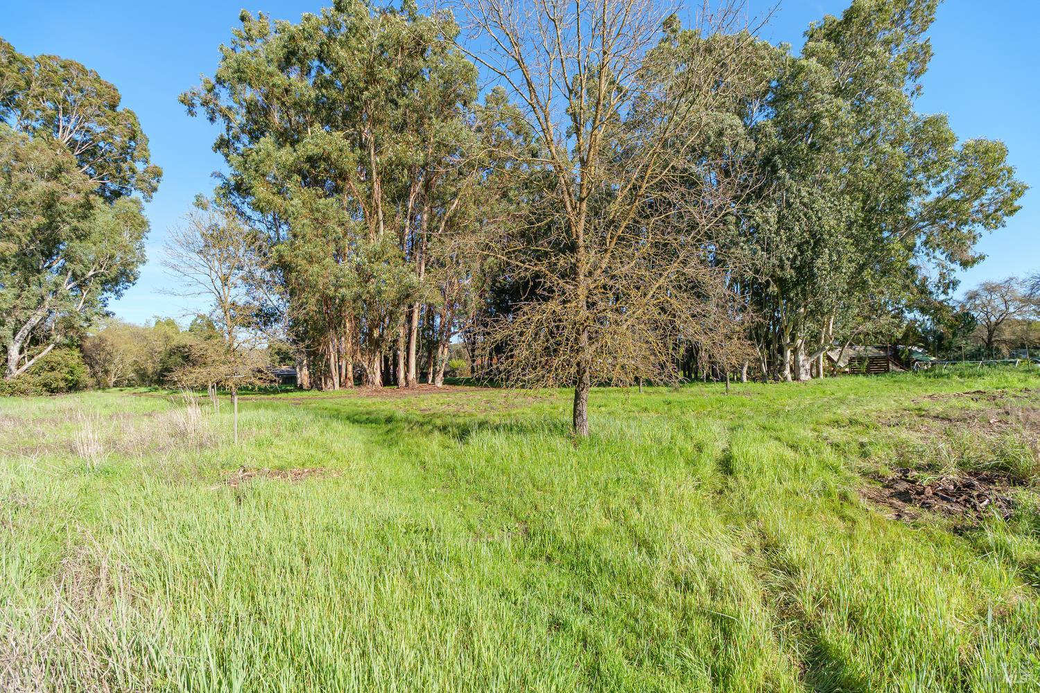 Detail Gallery Image 33 of 39 For 19360 Linden St, Sonoma,  CA 95476 - 3 Beds | 2 Baths