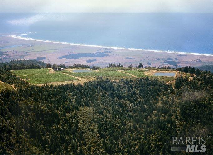 Detail Gallery Image 32 of 40 For 39000 Crispin Rd, Manchester,  CA 95459 - – Beds | – Baths