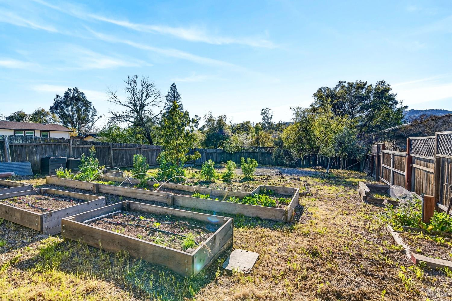 Detail Gallery Image 25 of 27 For 105 Hooker Ave, Sonoma,  CA 95476 - 4 Beds | 2 Baths