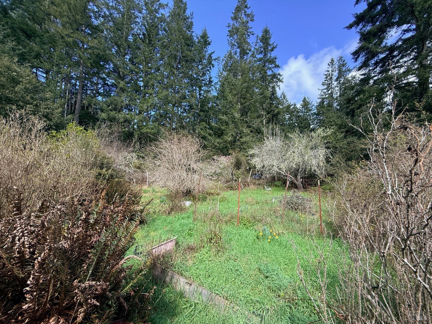 Detail Gallery Image 24 of 31 For 3480 N Albion Ridge G Rd, Albion,  CA 95410 - 2 Beds | 1 Baths