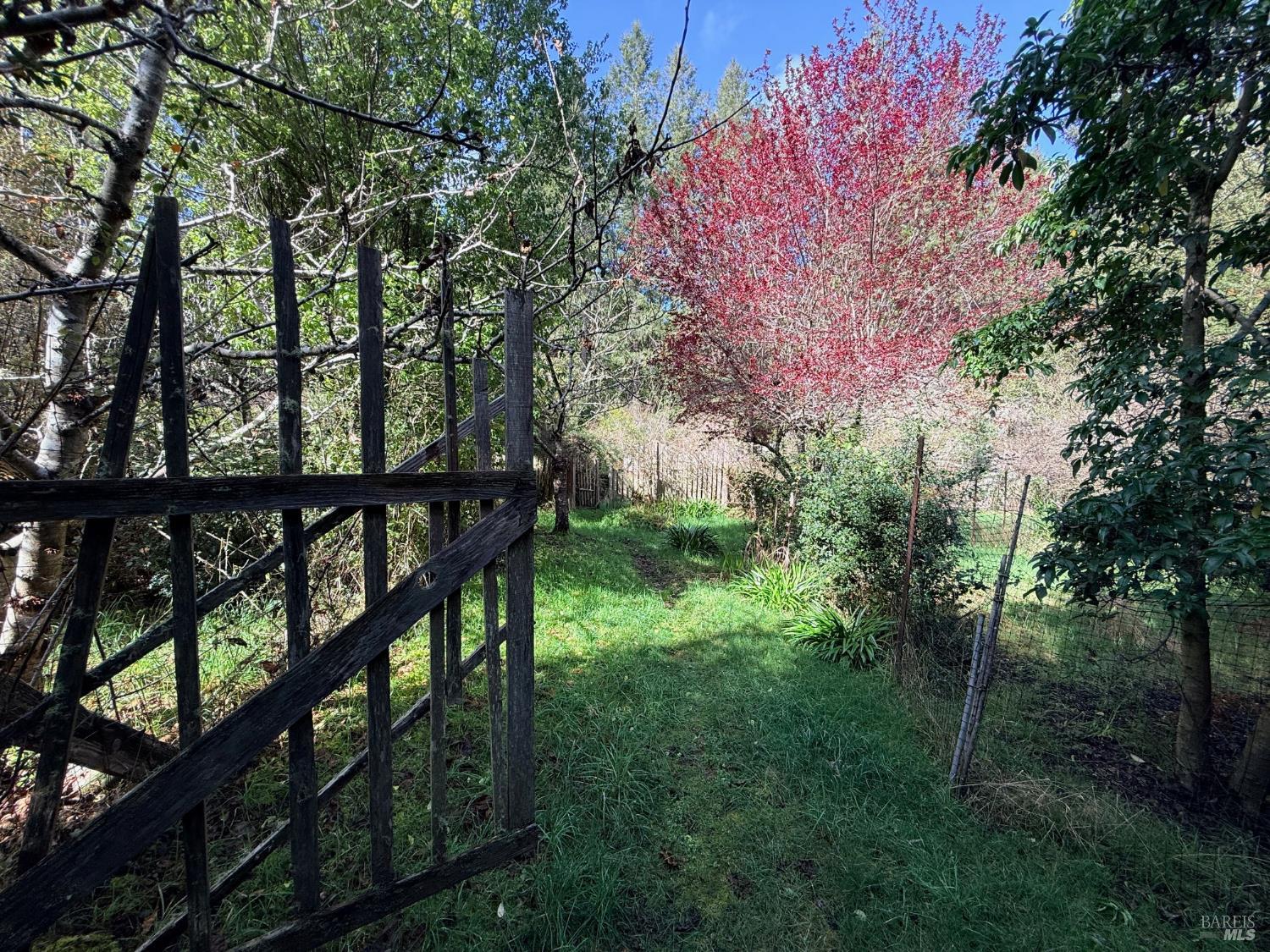 Detail Gallery Image 20 of 31 For 3480 N Albion Ridge G Rd, Albion,  CA 95410 - 2 Beds | 1 Baths