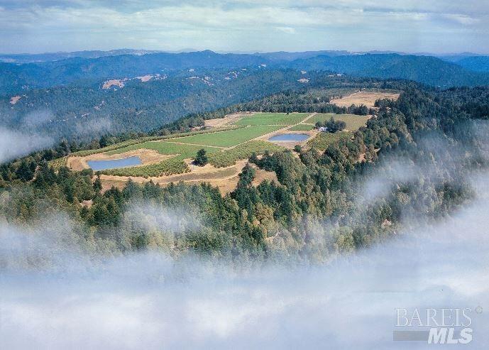 Detail Gallery Image 9 of 40 For 39000 Crispin Rd, Manchester,  CA 95459 - – Beds | – Baths