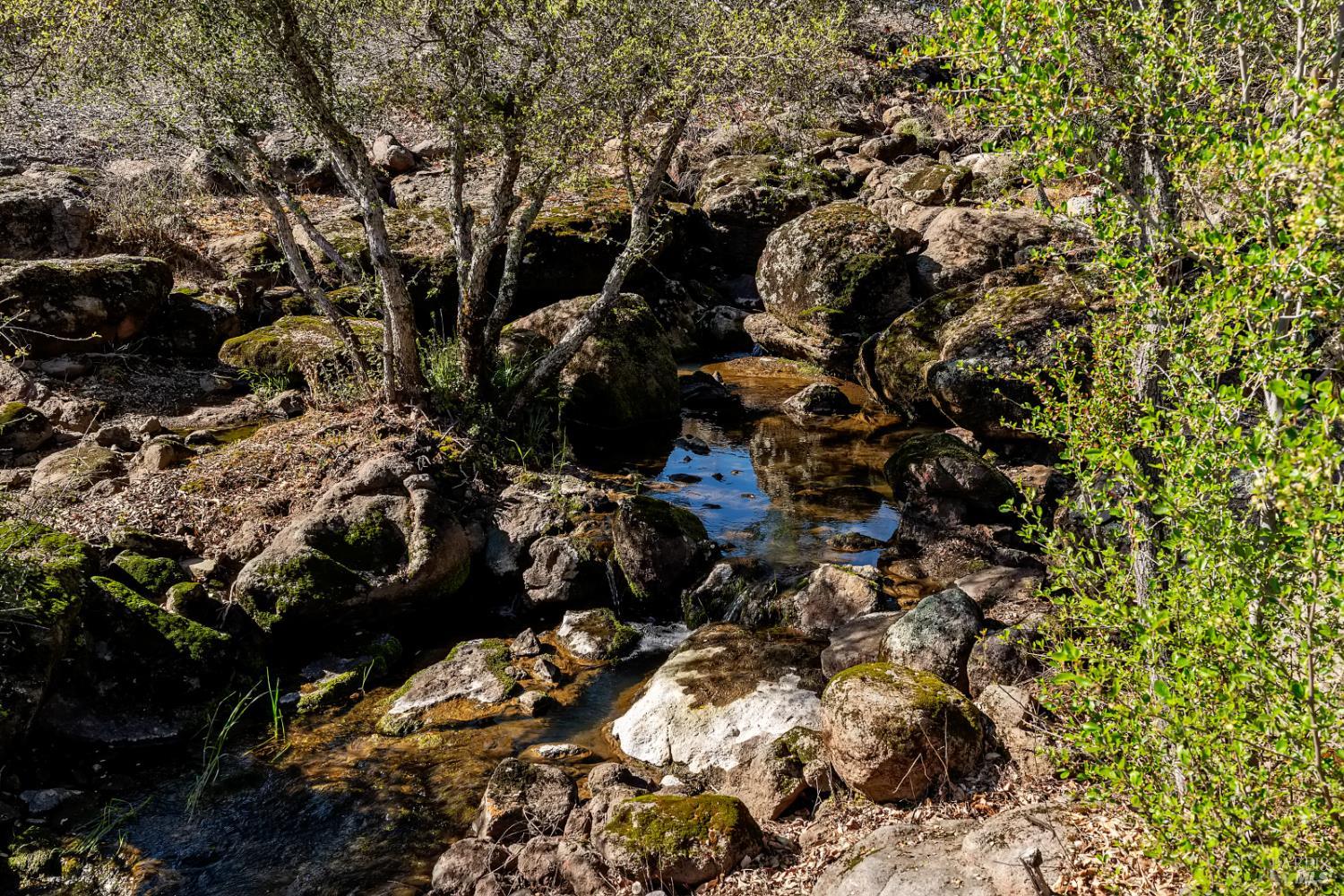 Detail Gallery Image 4 of 42 For 807 Deer Park Rd, Saint Helena,  CA 94574 - 3 Beds | 2 Baths