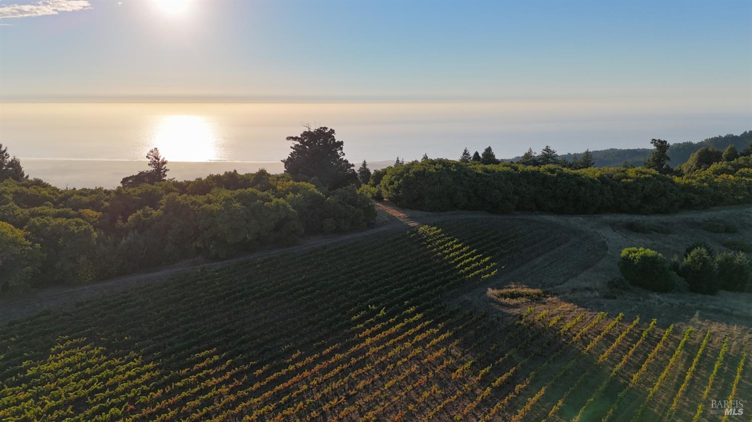 Detail Gallery Image 40 of 40 For 39000 Crispin Rd, Manchester,  CA 95459 - – Beds | – Baths