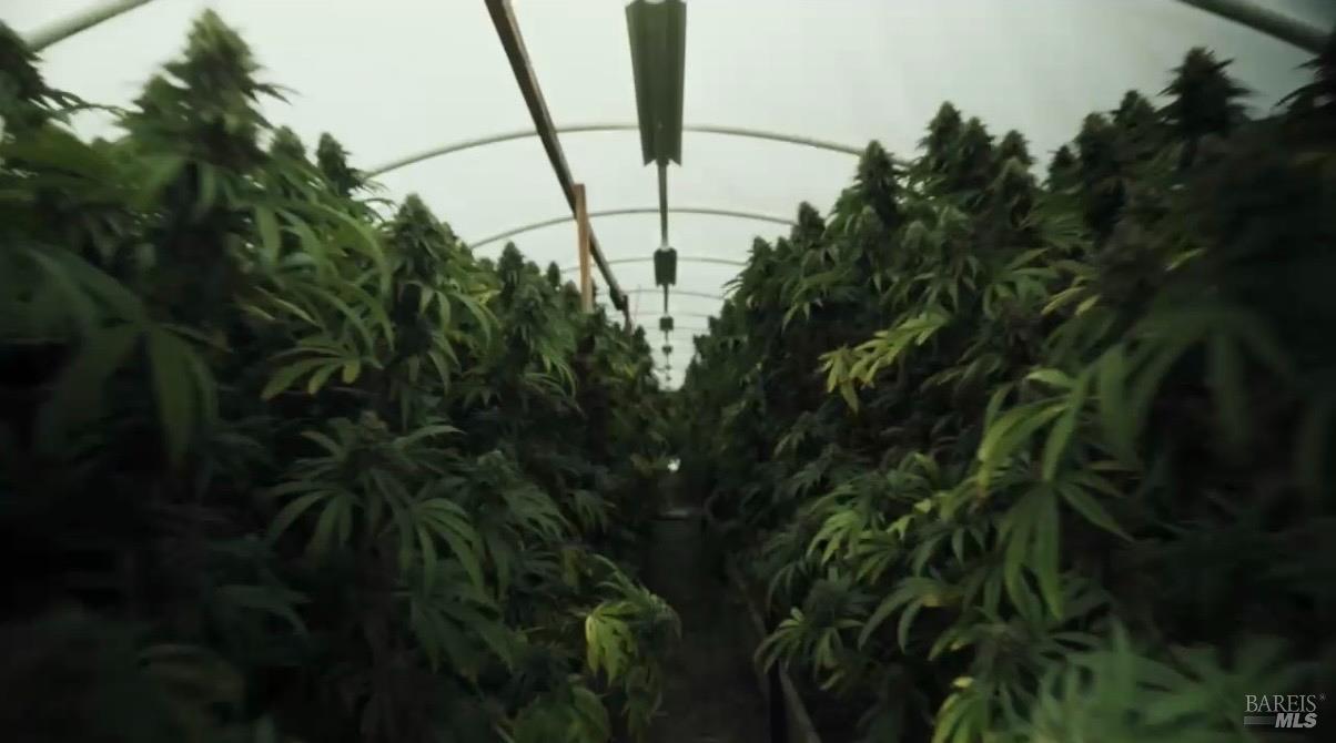 Detail Gallery Image 14 of 28 For 19450 Tomki Rd, Redwood Valley,  CA 95470 - – Beds | – Baths