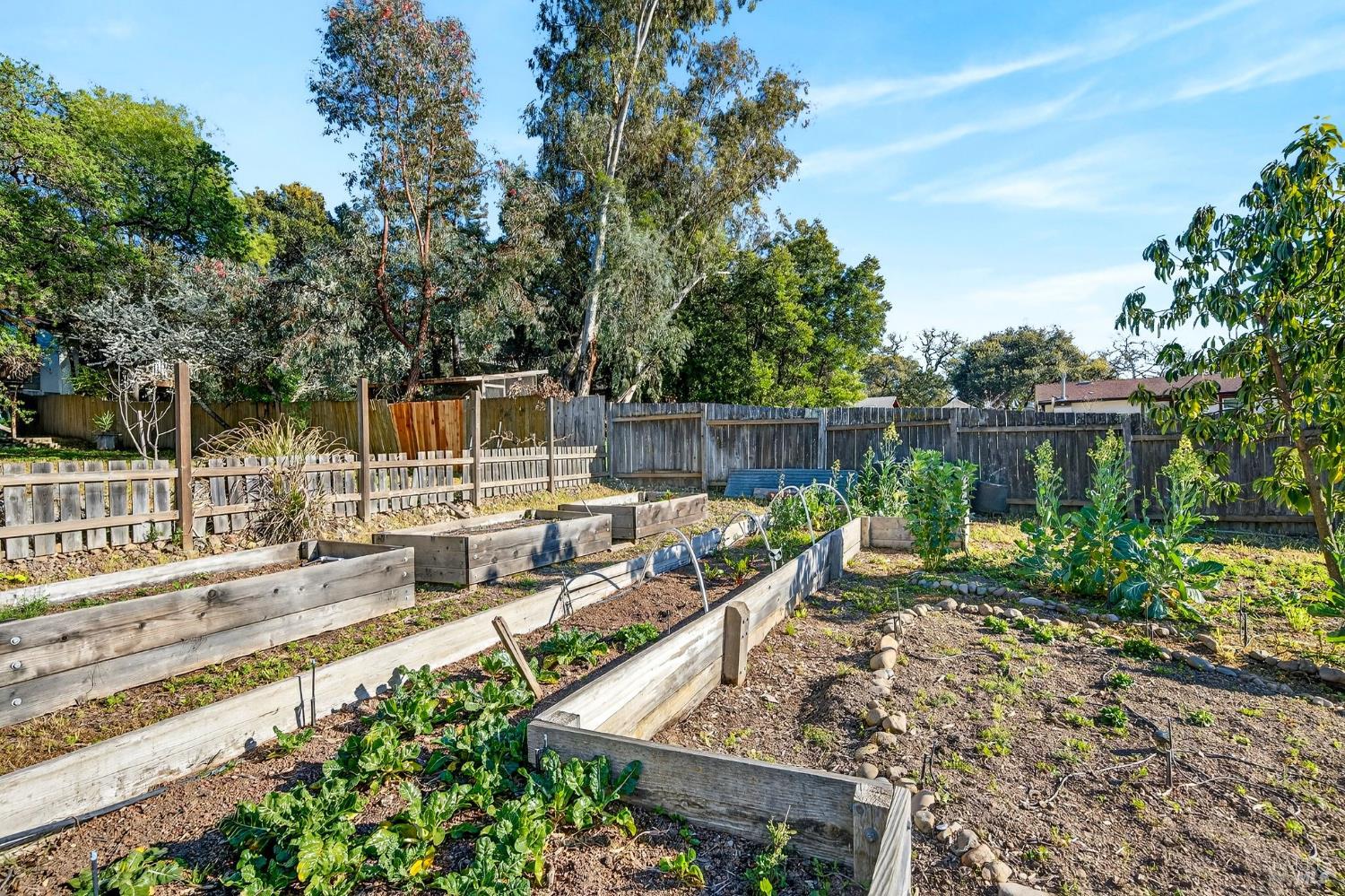 Detail Gallery Image 24 of 27 For 105 Hooker Ave, Sonoma,  CA 95476 - 4 Beds | 2 Baths