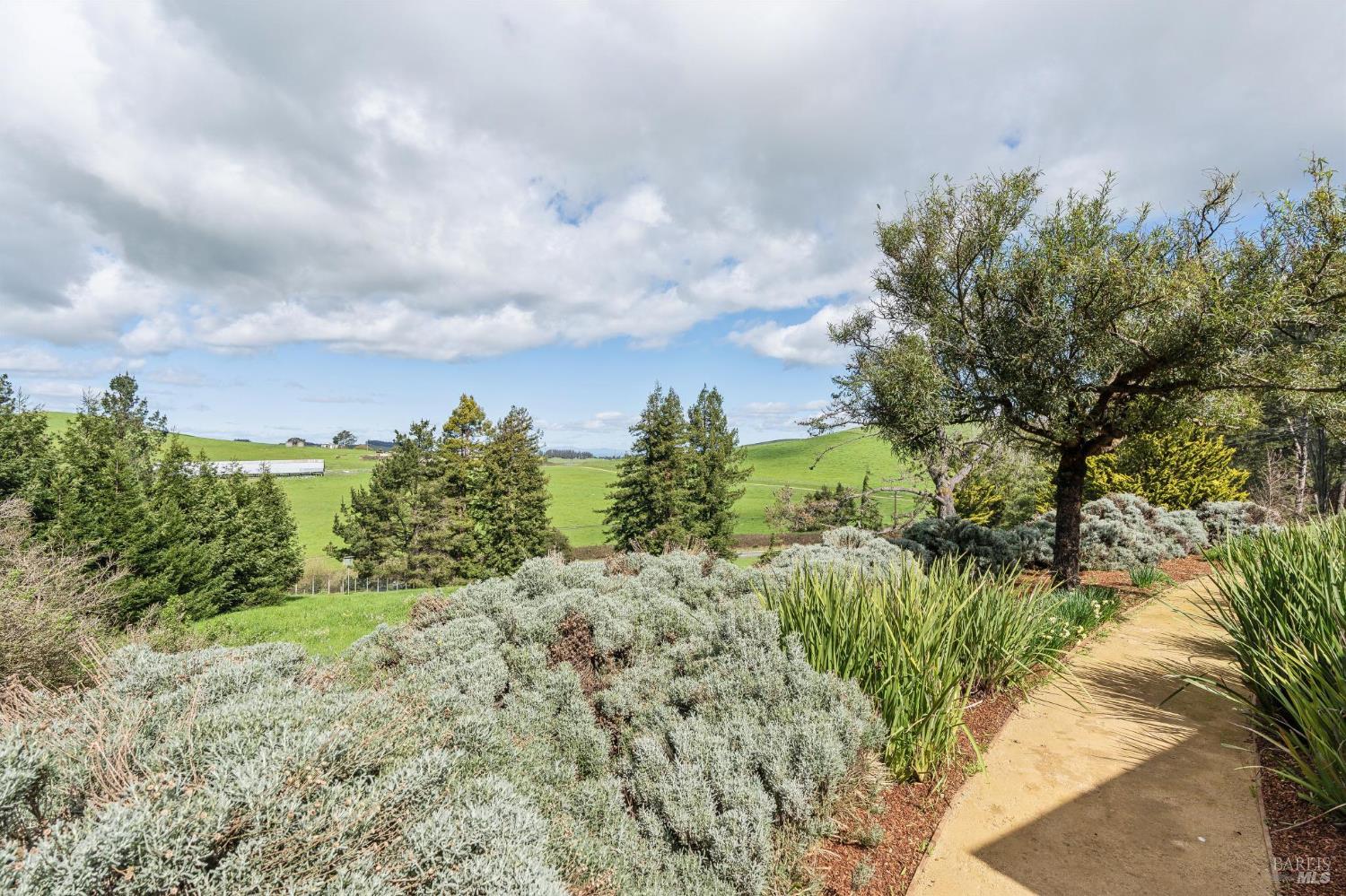 Detail Gallery Image 71 of 92 For 5855 Bodega Ave, Petaluma,  CA 94952 - 3 Beds | 2/1 Baths