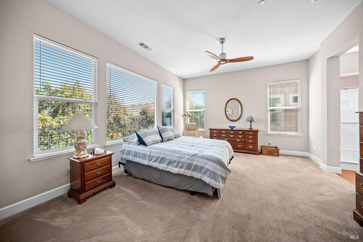 Detail Gallery Image 16 of 70 For 316 Birch Ridge Dr, Rio Vista,  CA 94571 - 3 Beds | 2/1 Baths