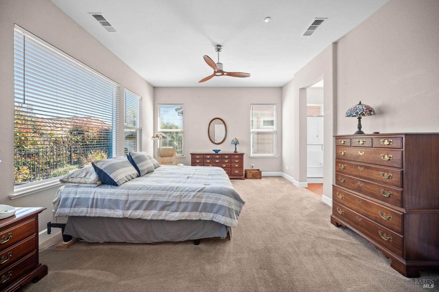 Detail Gallery Image 17 of 70 For 316 Birch Ridge Dr, Rio Vista,  CA 94571 - 3 Beds | 2/1 Baths