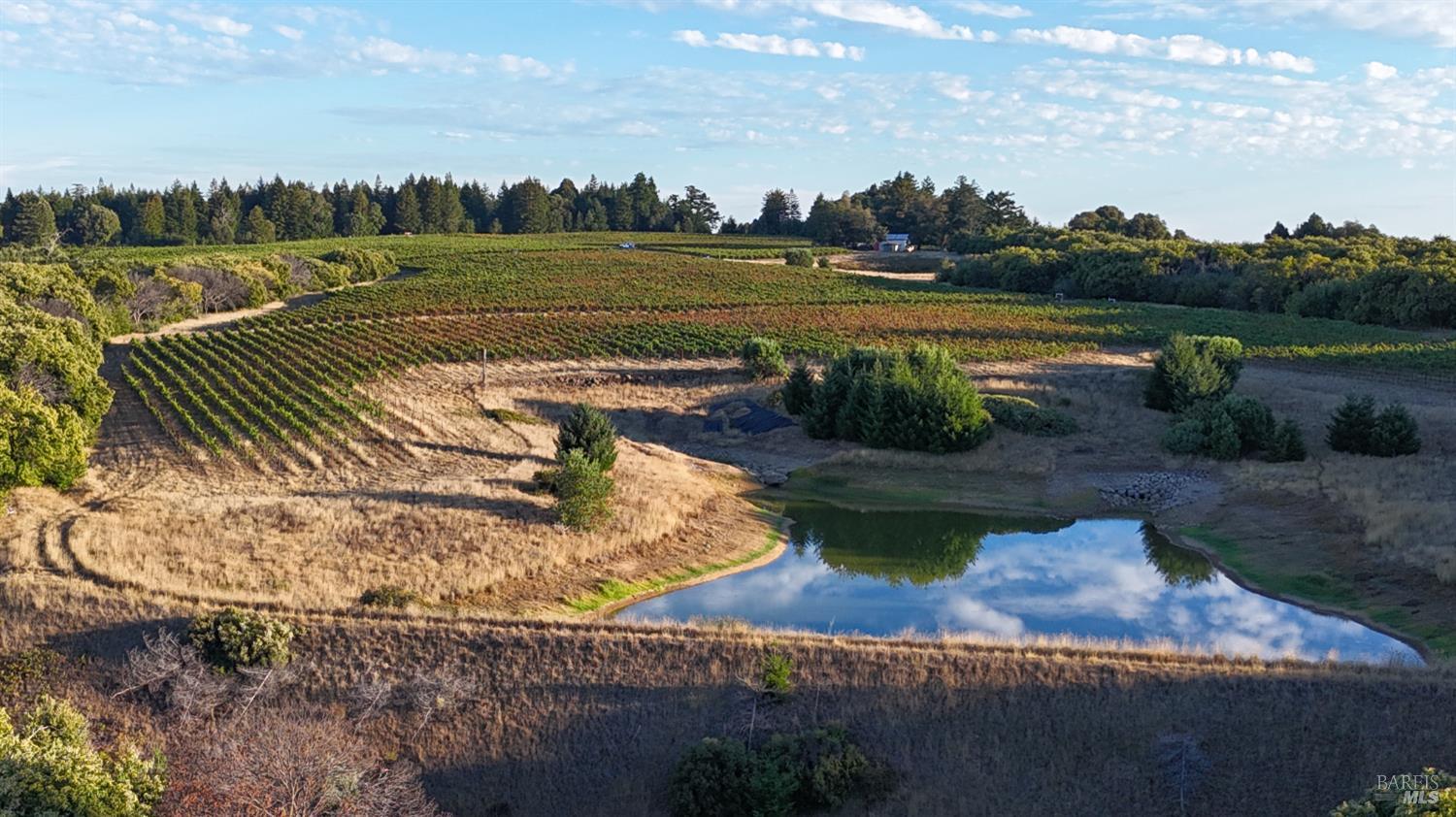 Detail Gallery Image 39 of 40 For 39000 Crispin Rd, Manchester,  CA 95459 - – Beds | – Baths