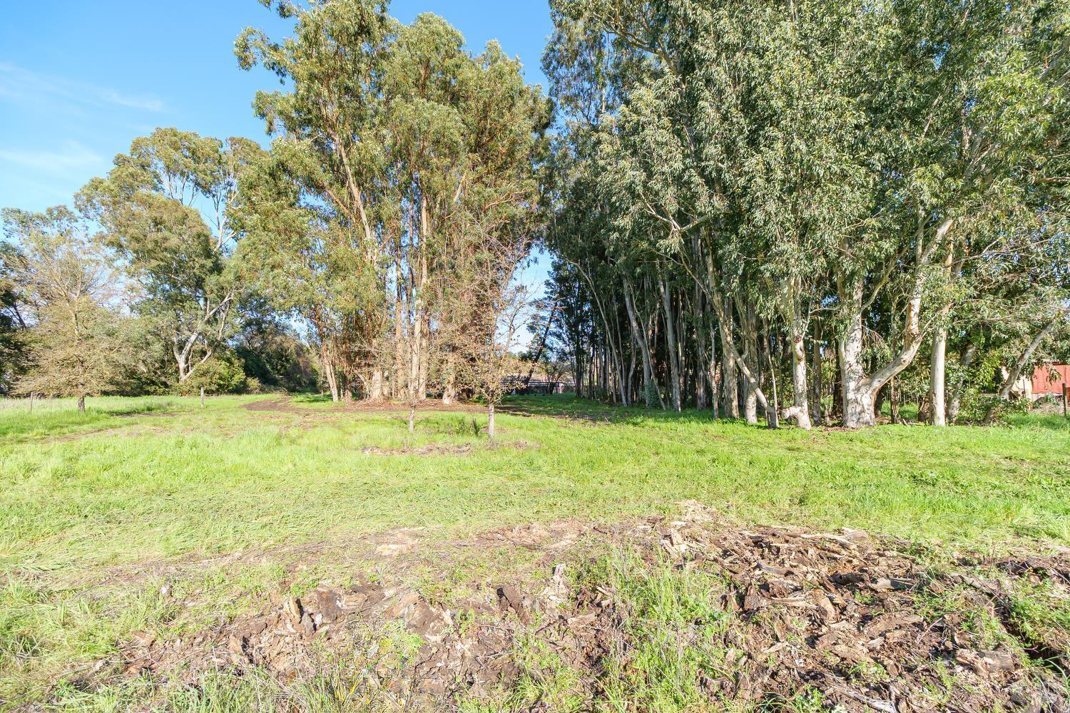 Detail Gallery Image 30 of 39 For 19360 Linden St, Sonoma,  CA 95476 - 3 Beds | 2 Baths