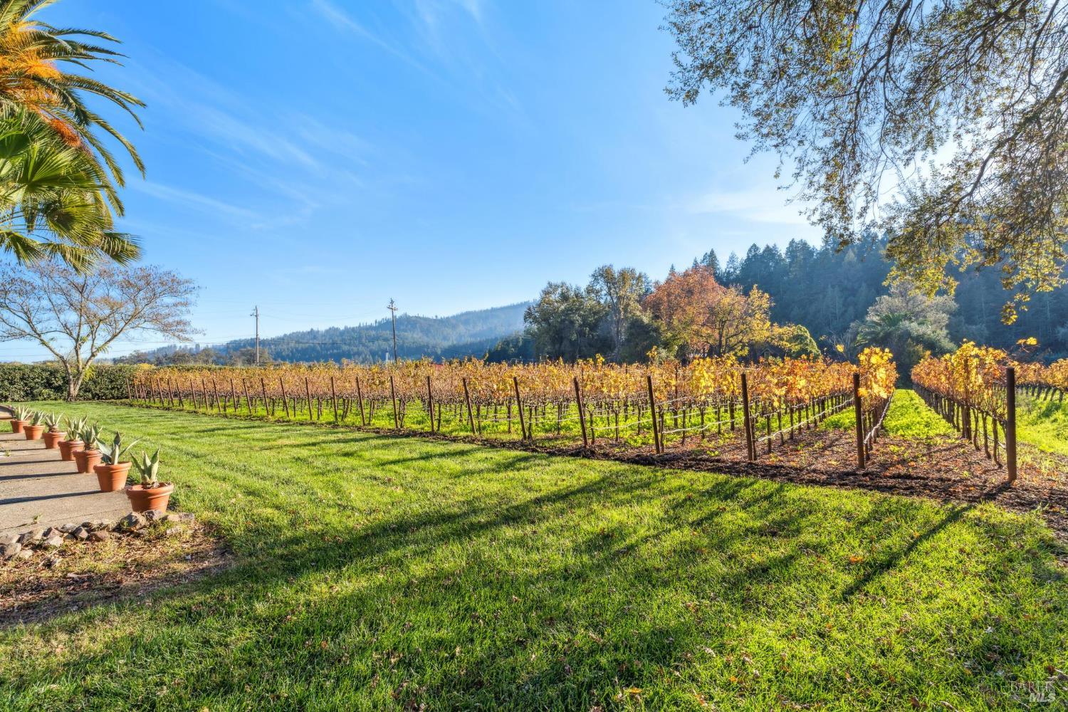 Detail Gallery Image 49 of 58 For 2 Foothill Blvd, Calistoga,  CA 94515 - 2 Beds | 2 Baths