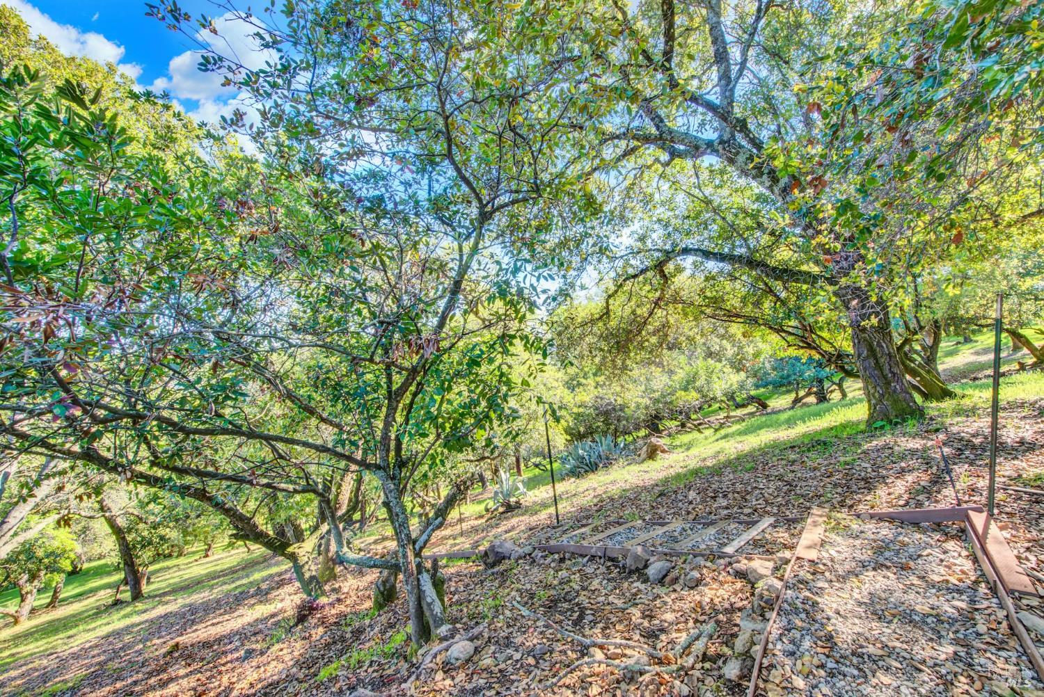 Detail Gallery Image 62 of 82 For 4427 Glencannon Dr, Fairfield,  CA 94534 - 3 Beds | 2/1 Baths