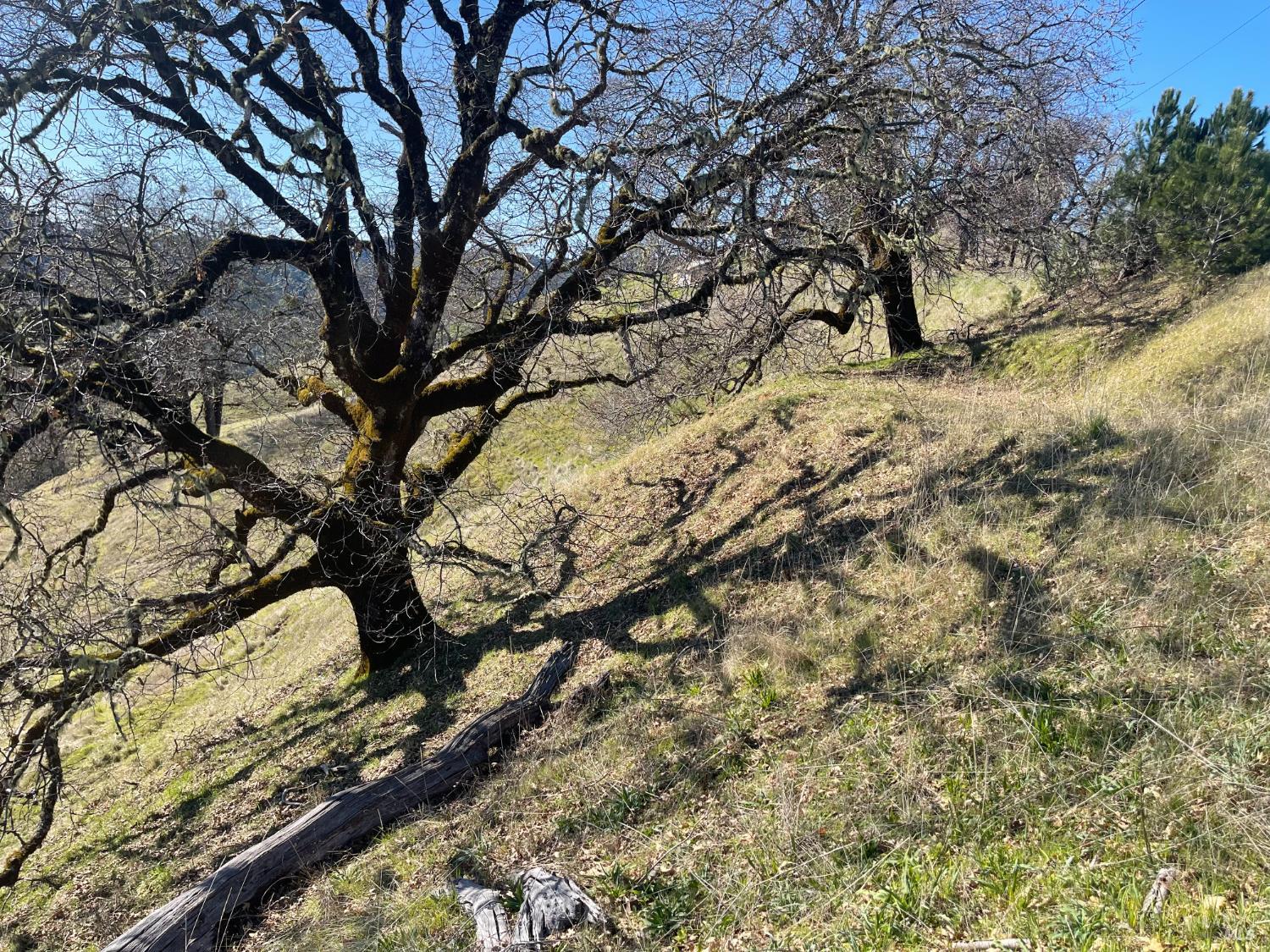 Detail Gallery Image 4 of 5 For 2301 Baywood Way, Willits,  CA 95490 - – Beds | – Baths