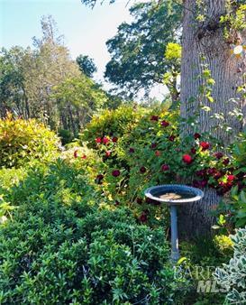 Detail Gallery Image 8 of 9 For 1001 Louis Way, Lakeport,  CA 95453 - 3 Beds | 2/1 Baths