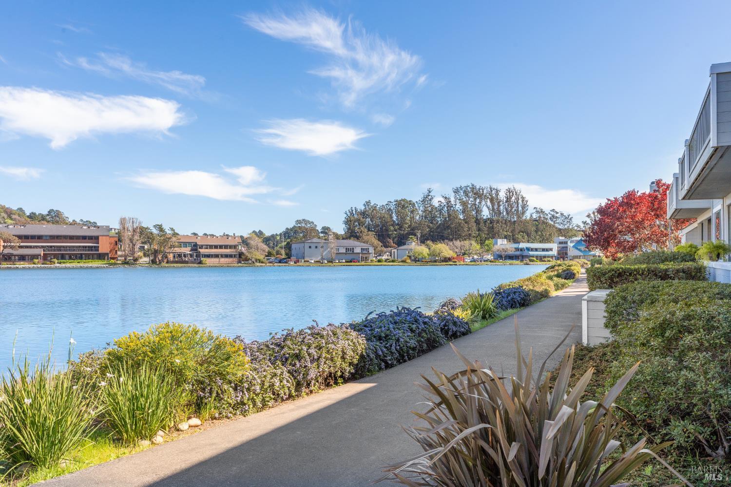 Detail Gallery Image 69 of 82 For 6060 Shelter Bay Ave, Mill Valley,  CA 94941 - 2 Beds | 2 Baths