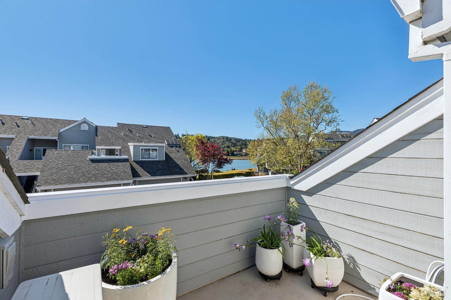 Detail Gallery Image 71 of 82 For 6060 Shelter Bay Ave, Mill Valley,  CA 94941 - 2 Beds | 2 Baths