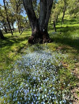 Detail Gallery Image 9 of 9 For 1001 Louis Way, Lakeport,  CA 95453 - 3 Beds | 2/1 Baths