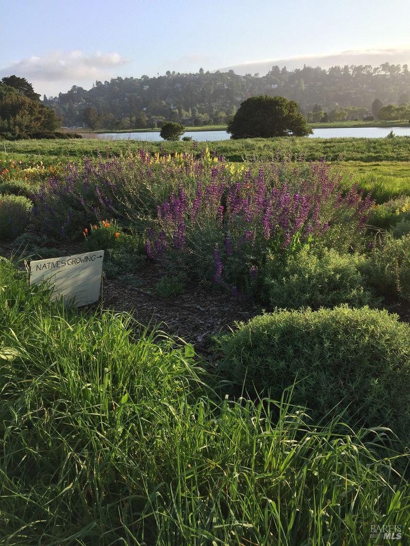 Detail Gallery Image 16 of 16 For Address Is Not Disclosed, Mill Valley,  CA 94941 - 1 Beds | 1 Baths