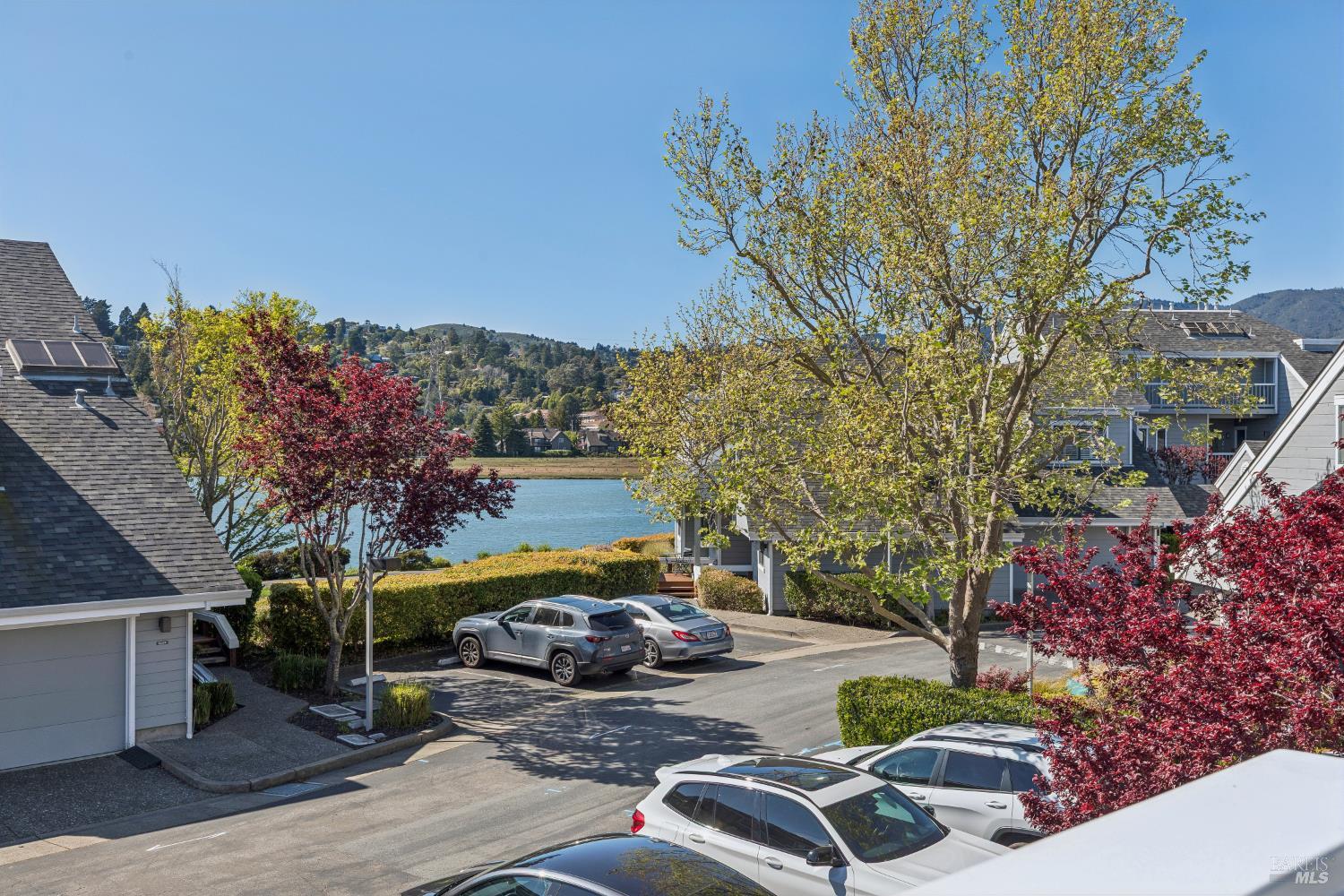 Detail Gallery Image 70 of 82 For 6060 Shelter Bay Ave, Mill Valley,  CA 94941 - 2 Beds | 2 Baths