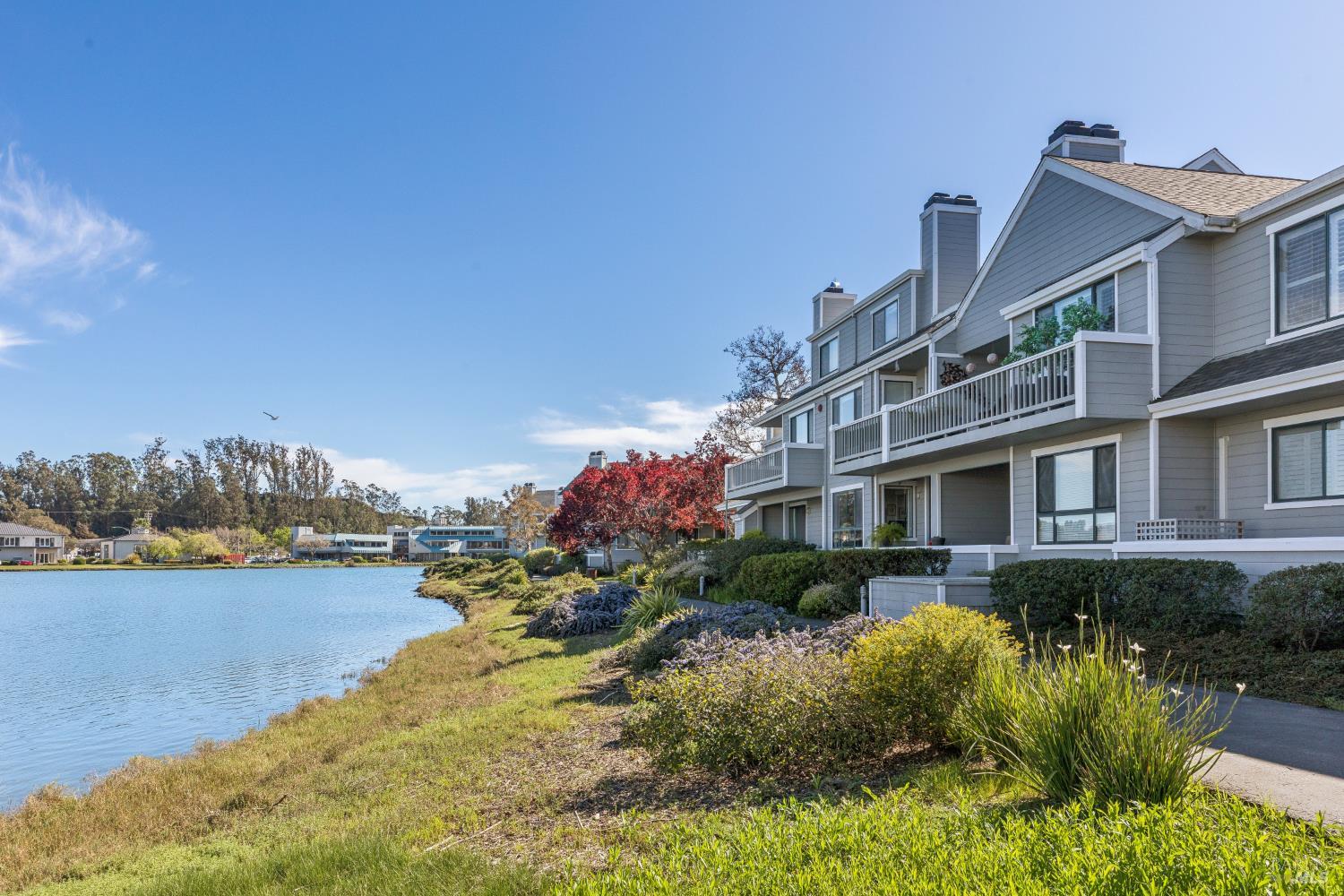 Detail Gallery Image 68 of 82 For 6060 Shelter Bay Ave, Mill Valley,  CA 94941 - 2 Beds | 2 Baths