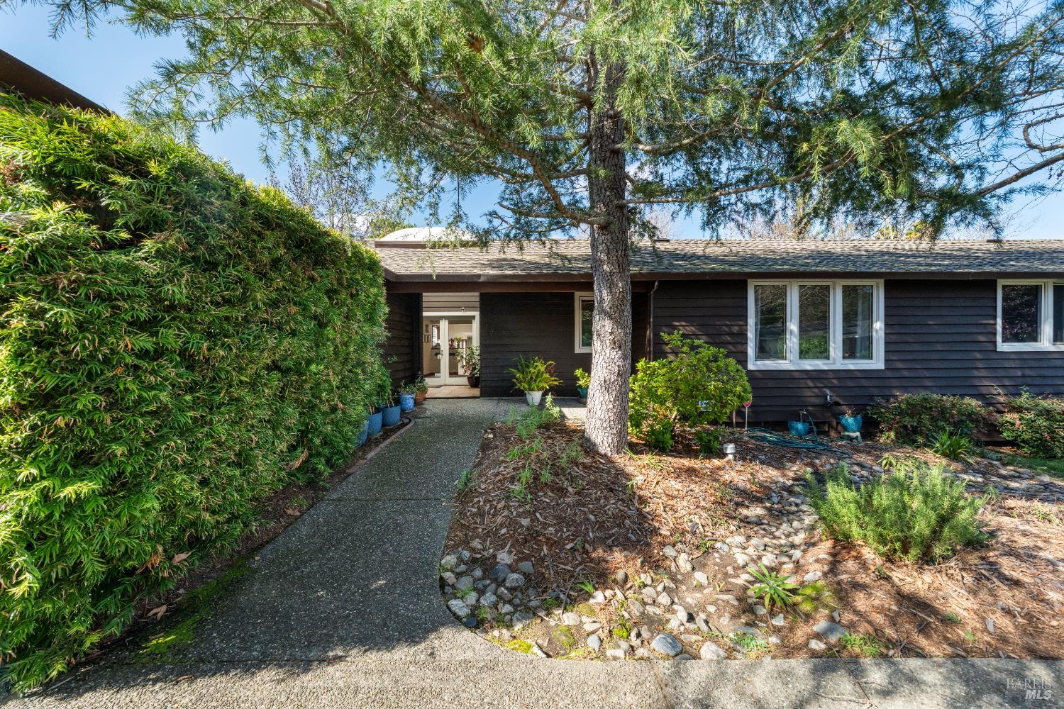 Detail Gallery Image 7 of 45 For 8 Circle Rd, San Rafael,  CA 94903 - 10 Beds | 6/1 Baths