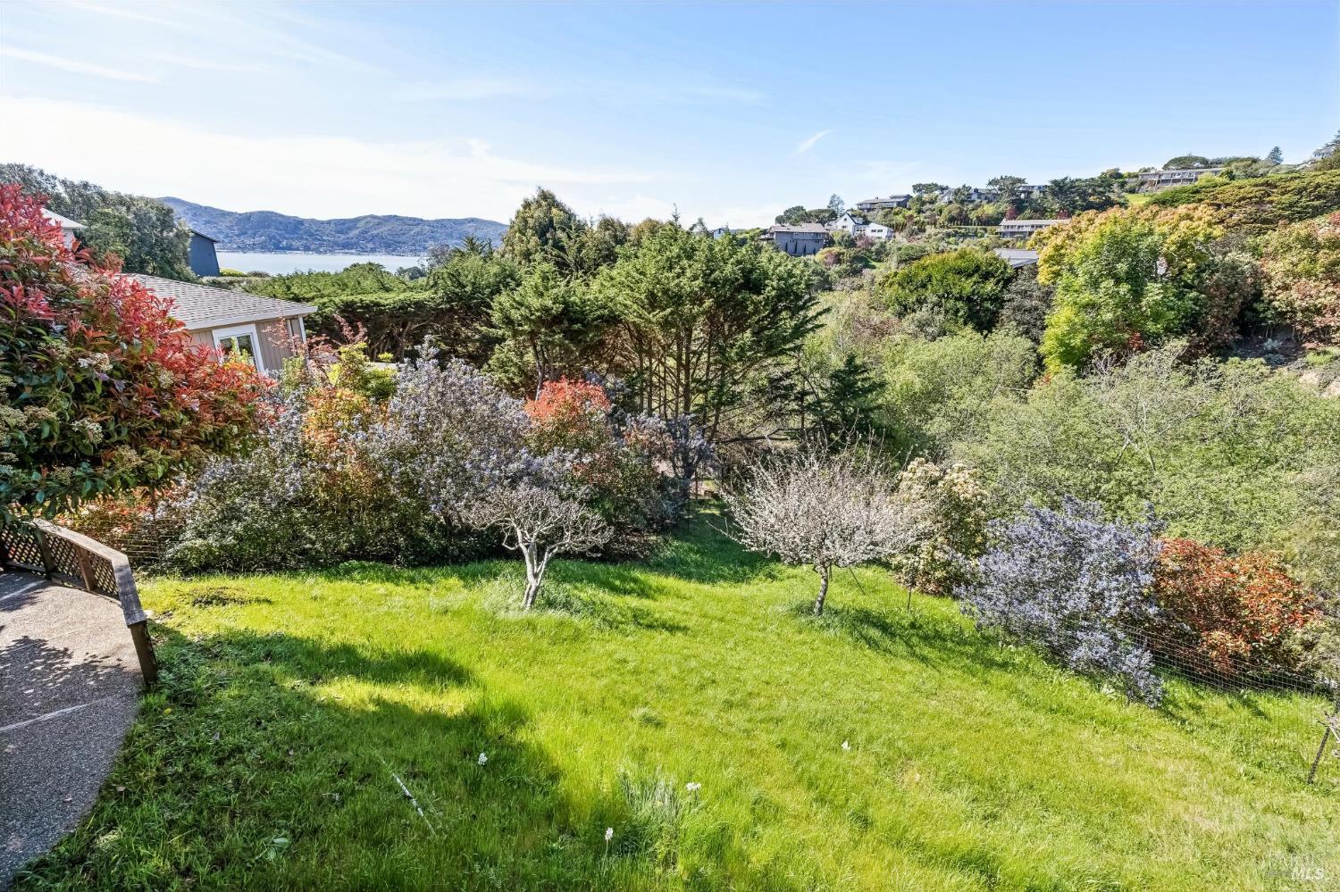 Detail Gallery Image 51 of 61 For 16 Malvino Ct, Tiburon,  CA 94920 - 4 Beds | 2/1 Baths