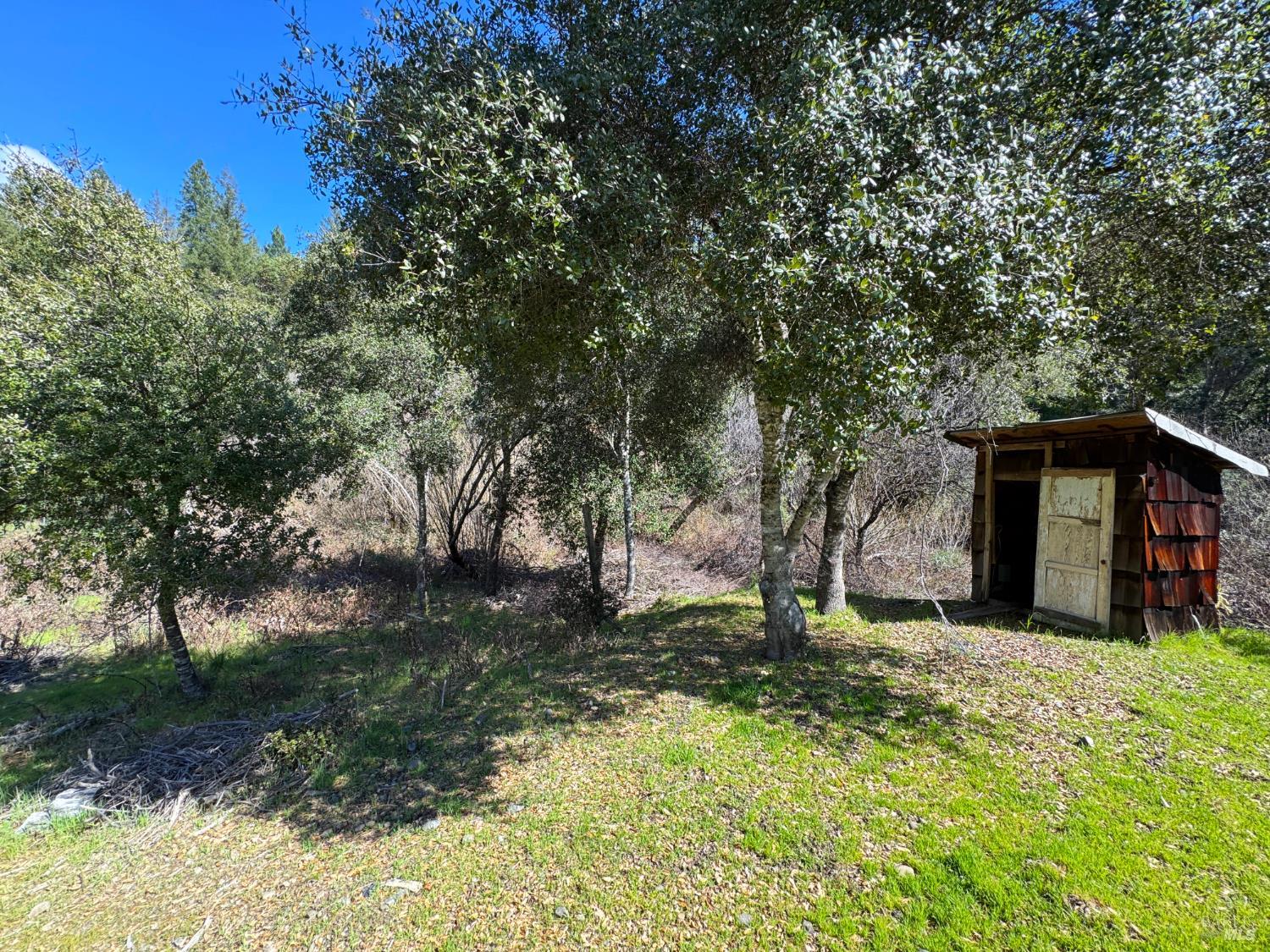 Detail Gallery Image 53 of 70 For 14605 Tomki Rd, Redwood Valley,  CA 95470 - 3 Beds | 2 Baths