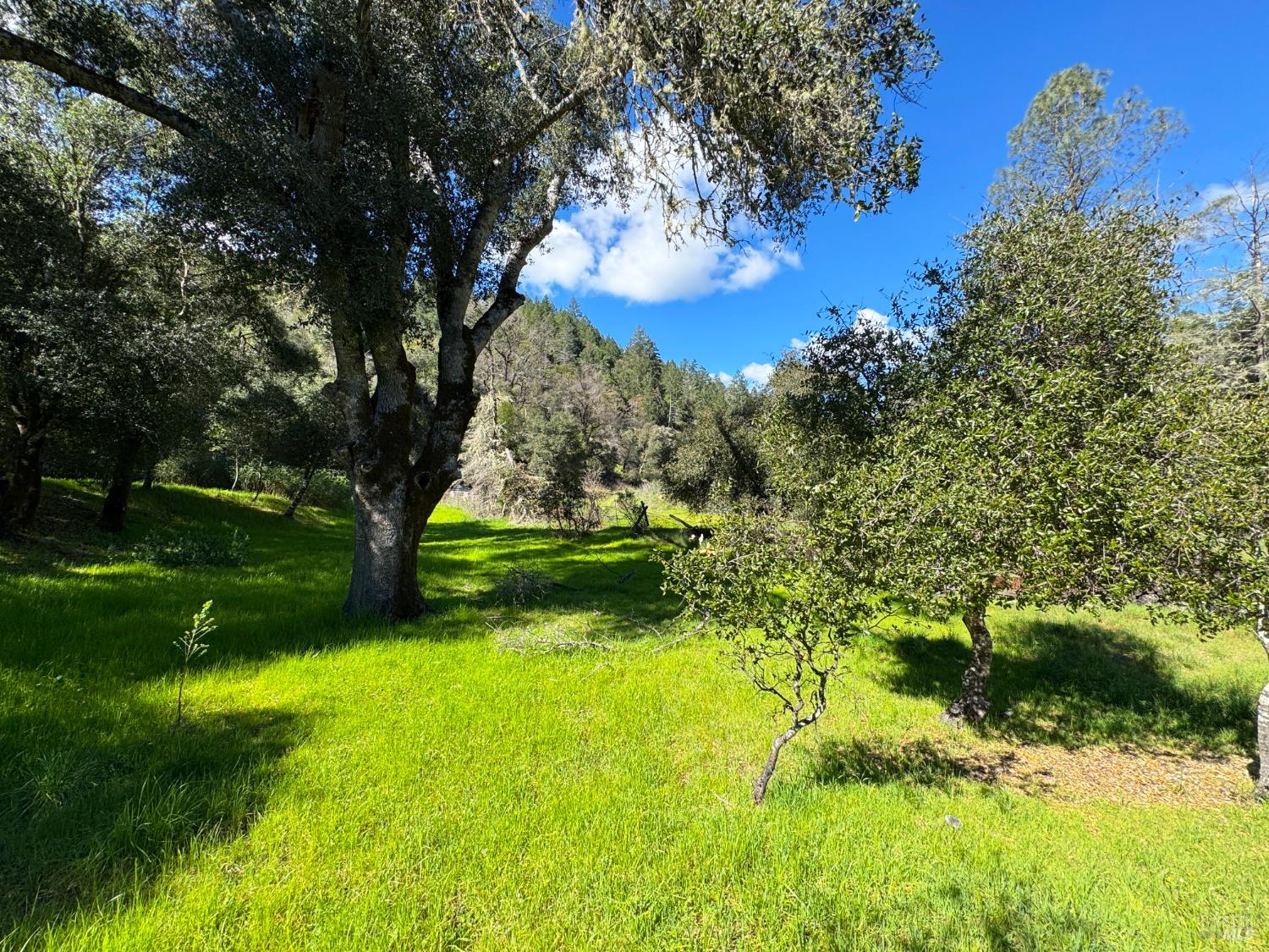 Detail Gallery Image 55 of 70 For 14605 Tomki Rd, Redwood Valley,  CA 95470 - 3 Beds | 2 Baths