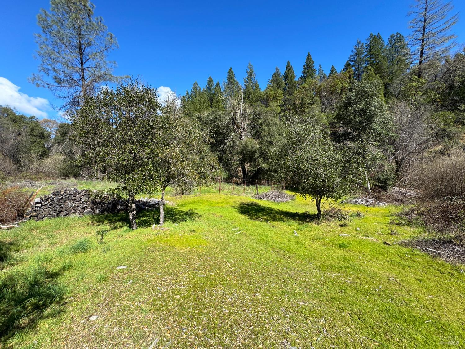 Detail Gallery Image 56 of 70 For 14605 Tomki Rd, Redwood Valley,  CA 95470 - 3 Beds | 2 Baths