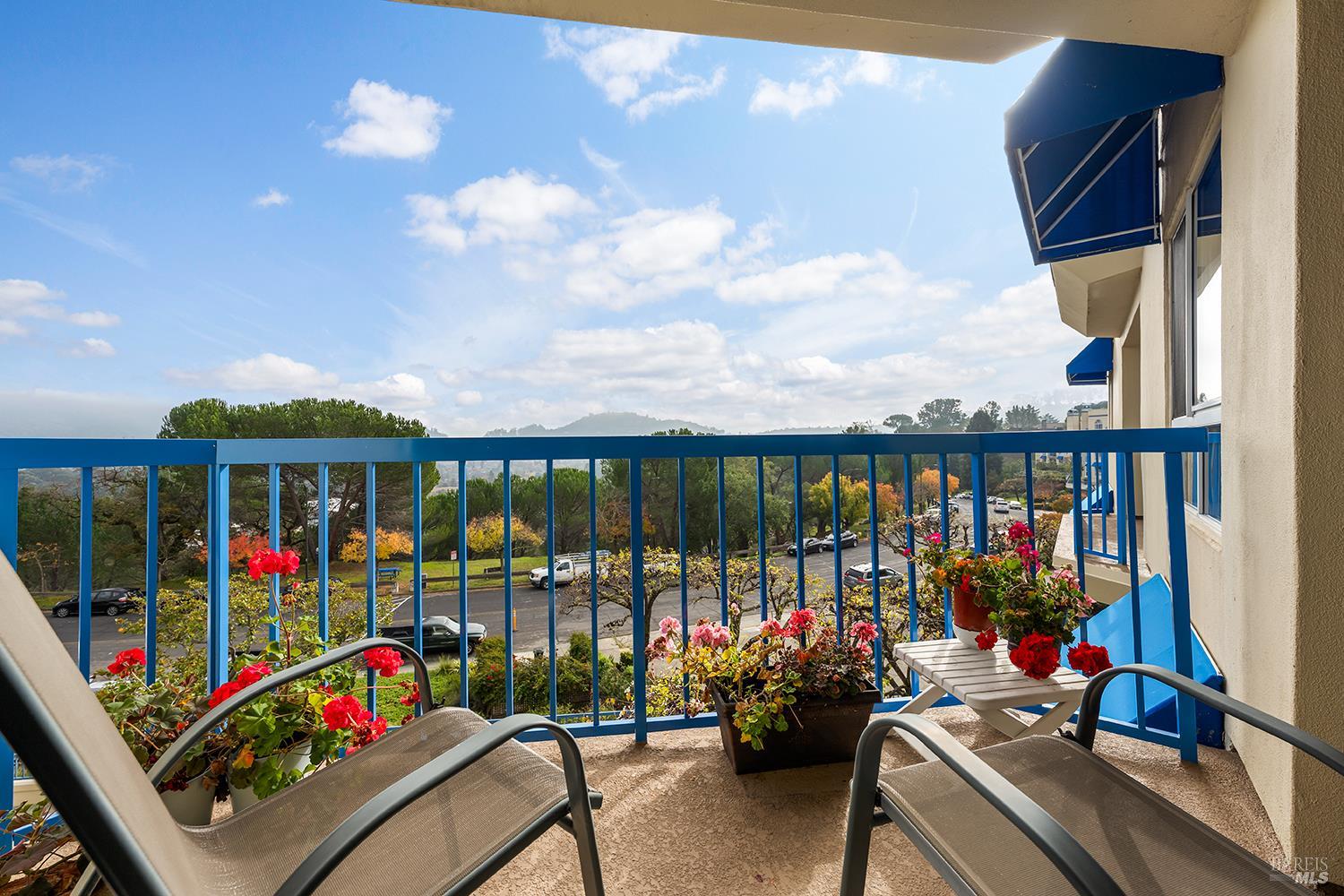 Detail Gallery Image 4 of 34 For 100 Thorndale Dr #353,  San Rafael,  CA 94903 - 1 Beds | 1/1 Baths