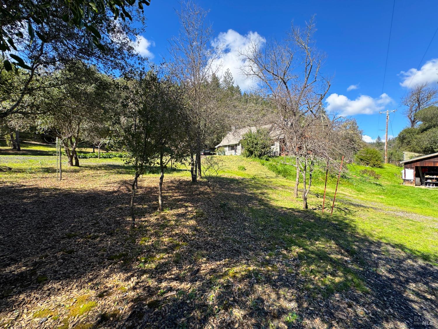 Detail Gallery Image 43 of 70 For 14605 Tomki Rd, Redwood Valley,  CA 95470 - 3 Beds | 2 Baths