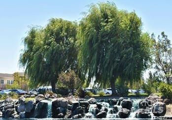 Detail Gallery Image 39 of 49 For 773 Turnberry Ter, Rio Vista,  CA 94571 - 2 Beds | 2 Baths