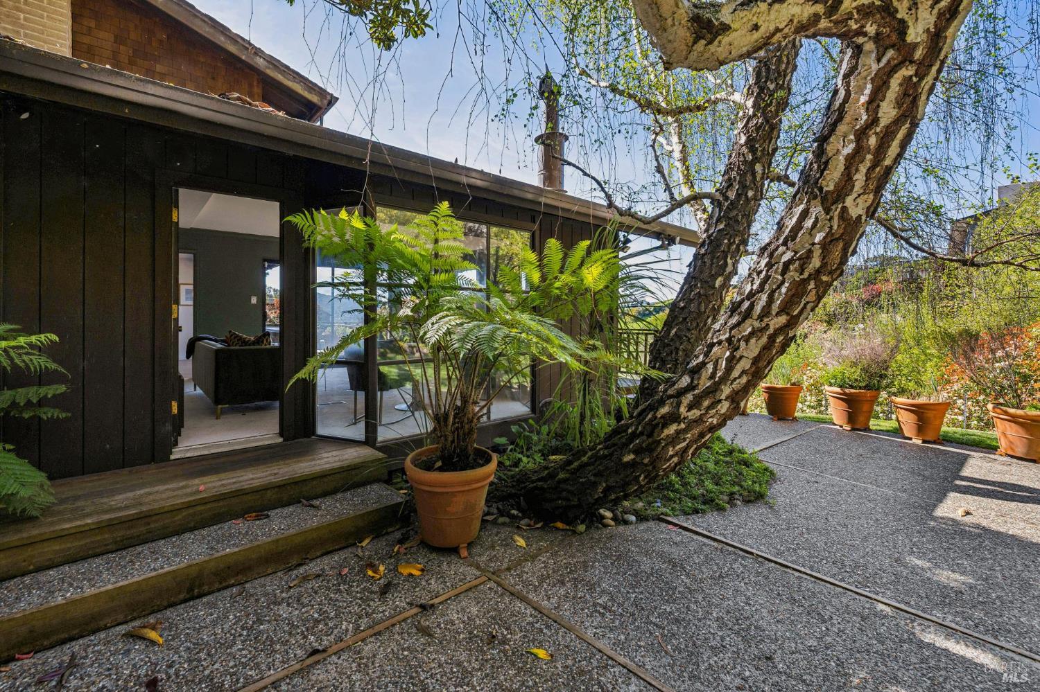 Detail Gallery Image 29 of 61 For 16 Malvino Ct, Tiburon,  CA 94920 - 4 Beds | 2/1 Baths