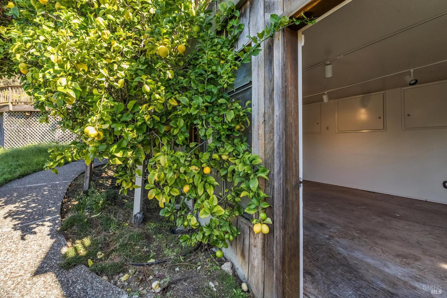 Detail Gallery Image 52 of 61 For 16 Malvino Ct, Tiburon,  CA 94920 - 4 Beds | 2/1 Baths