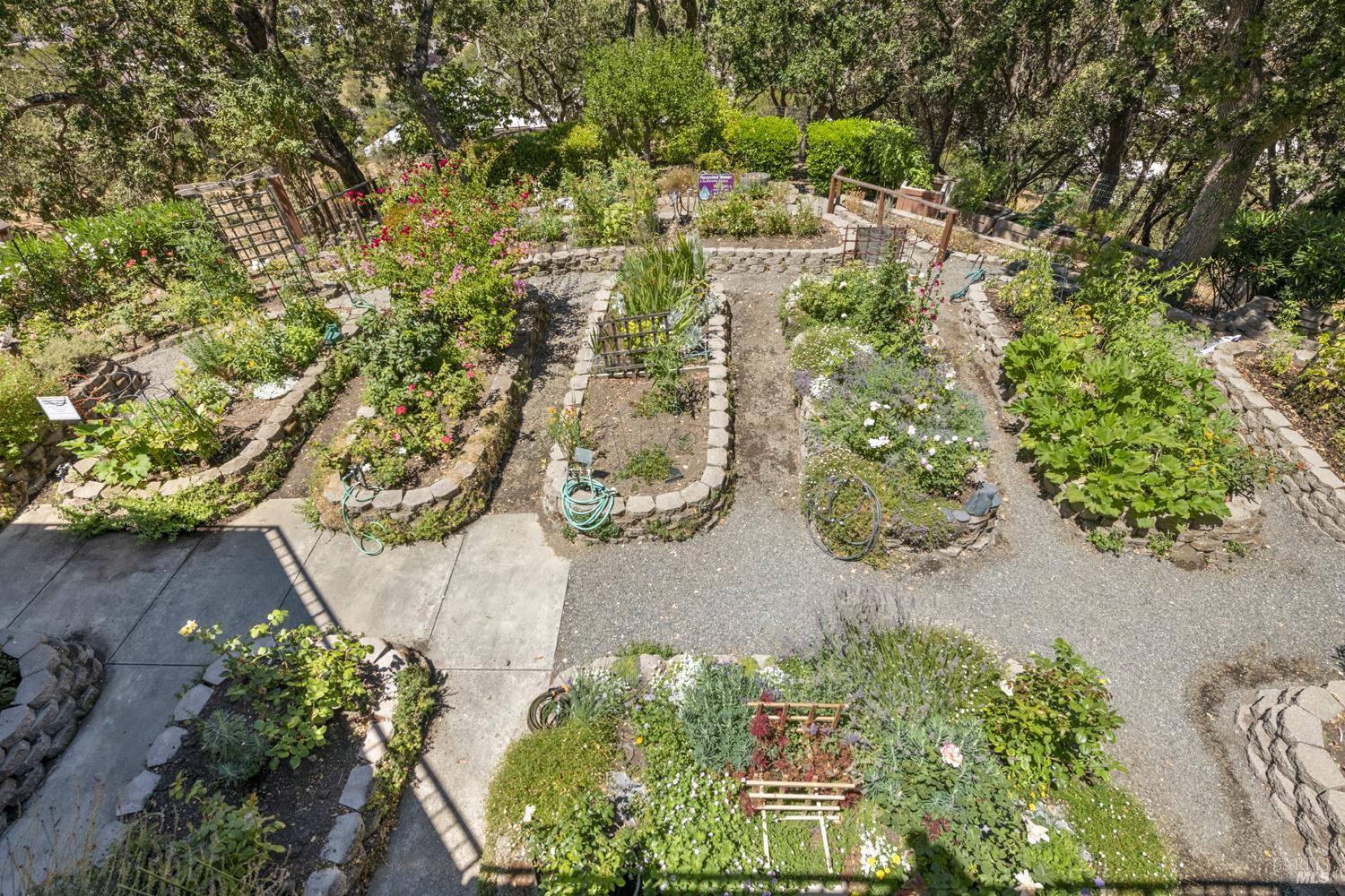 Detail Gallery Image 28 of 34 For 100 Thorndale Dr #353,  San Rafael,  CA 94903 - 1 Beds | 1/1 Baths