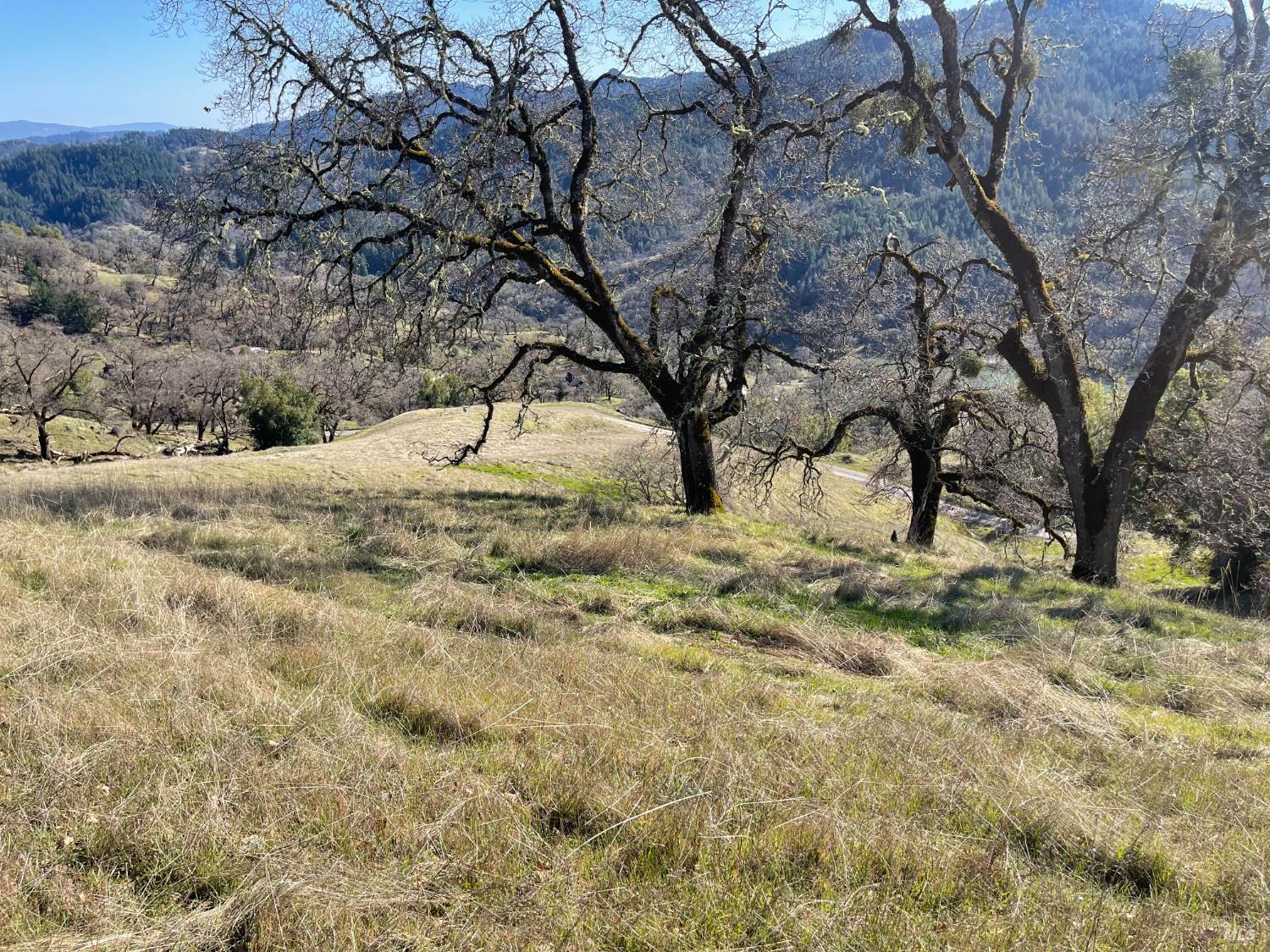 Front Image Thumbnail for BA326018257