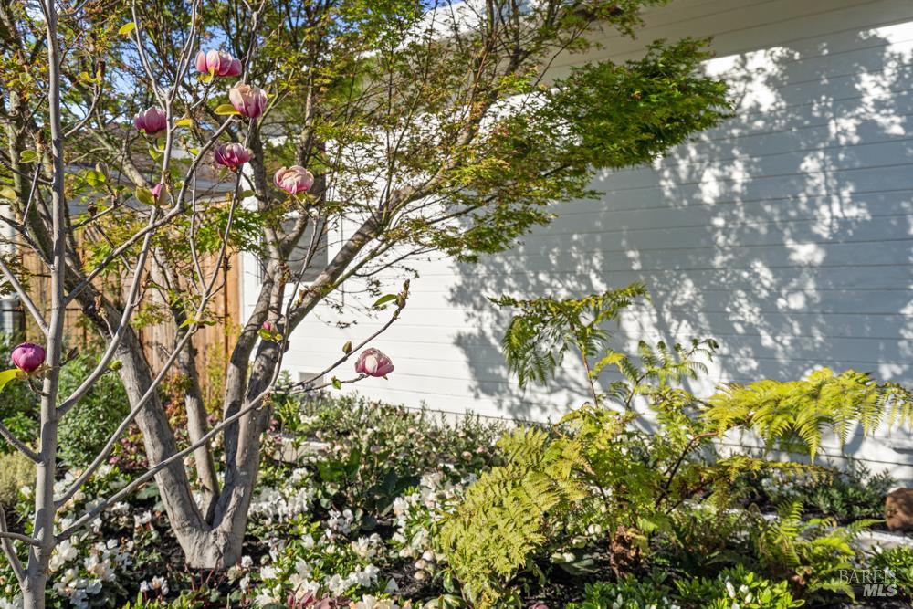 Detail Gallery Image 53 of 60 For 42 Billou St, San Rafael,  CA 94901 - 3 Beds | 2 Baths